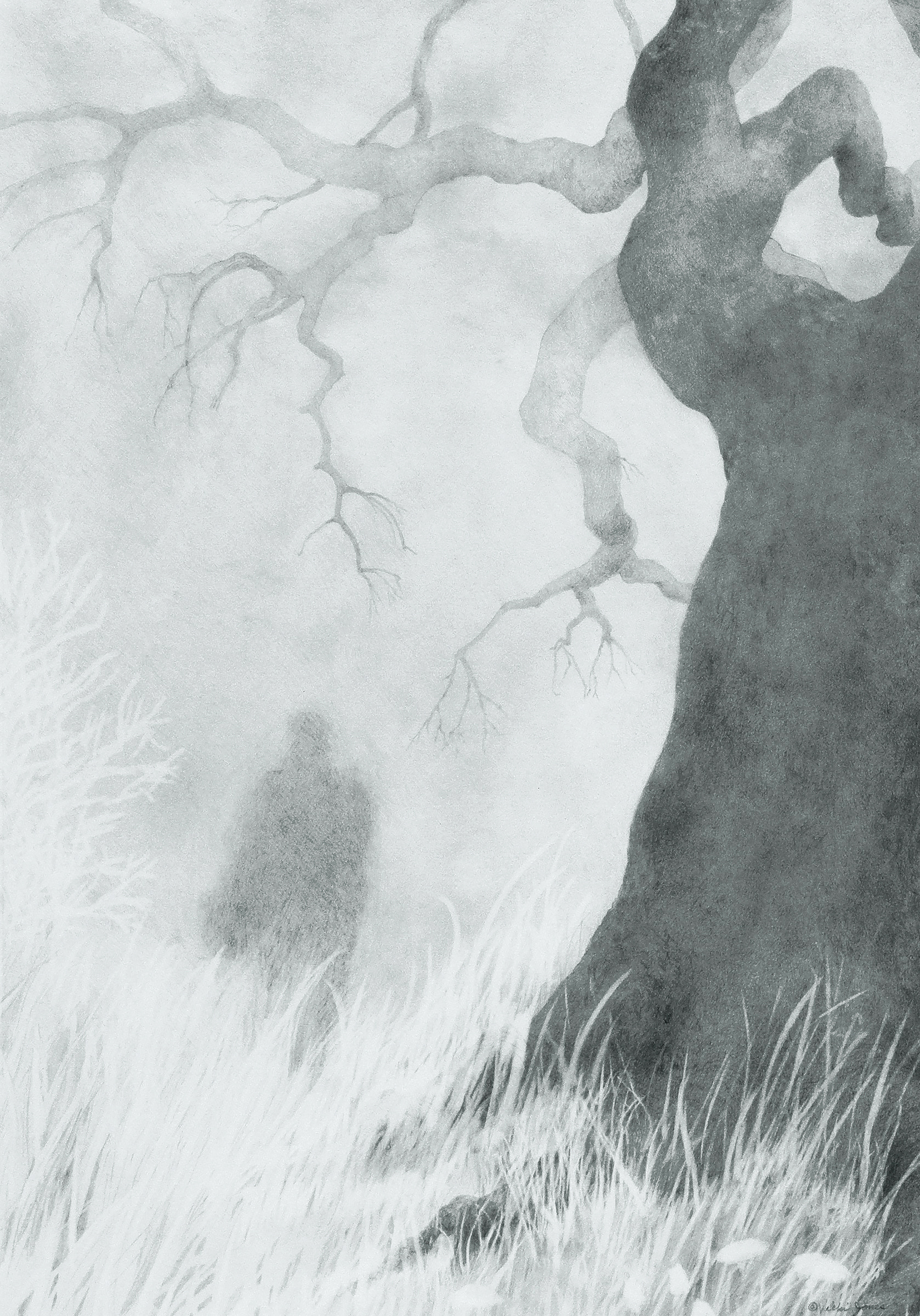 Boo's Tree - Graphite on paper, 15" x 21 1/2" - Reproductions available