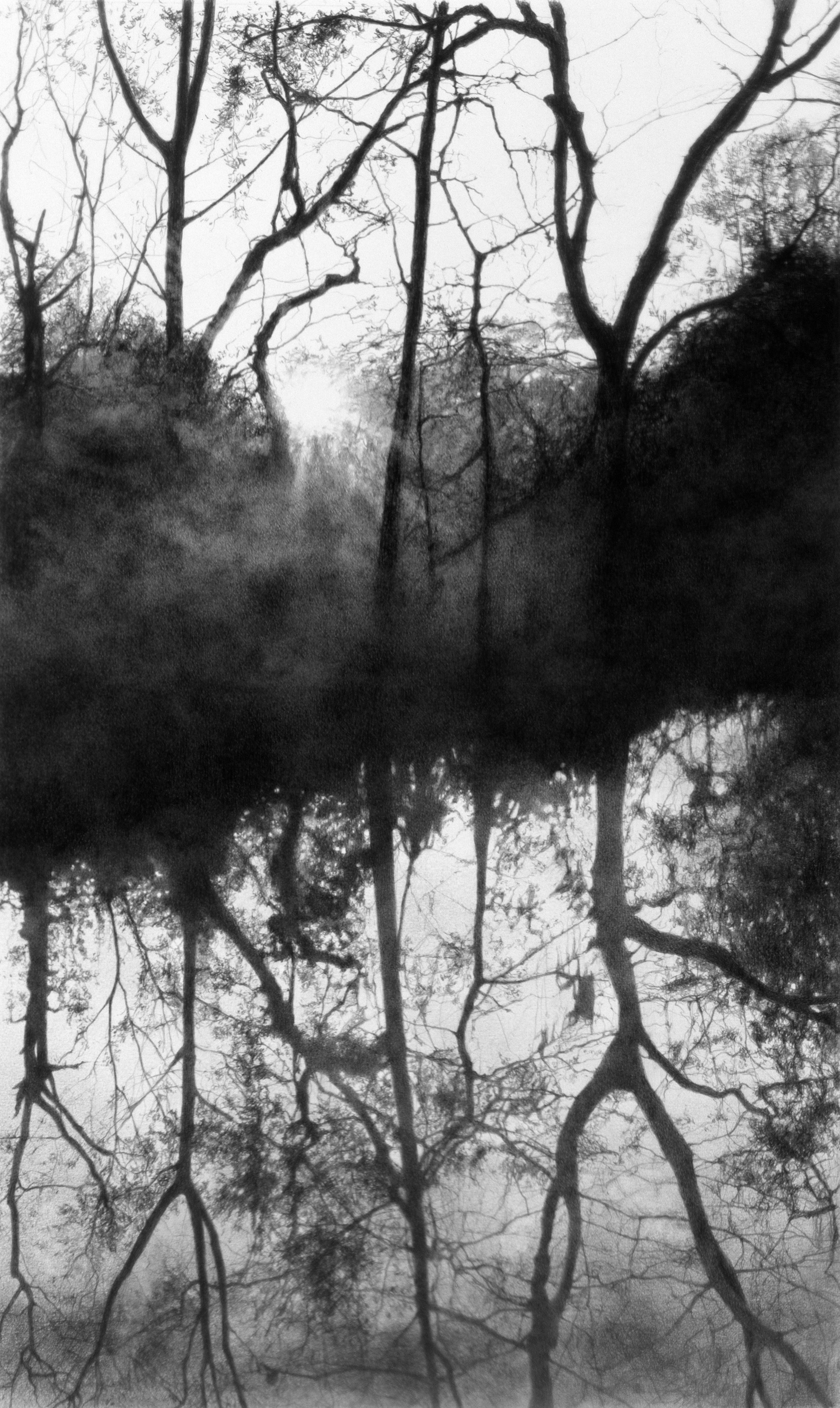 Sumter County Sunrise - Graphite on paper, 10" x 17" - Reproduction available - (Private Collection)