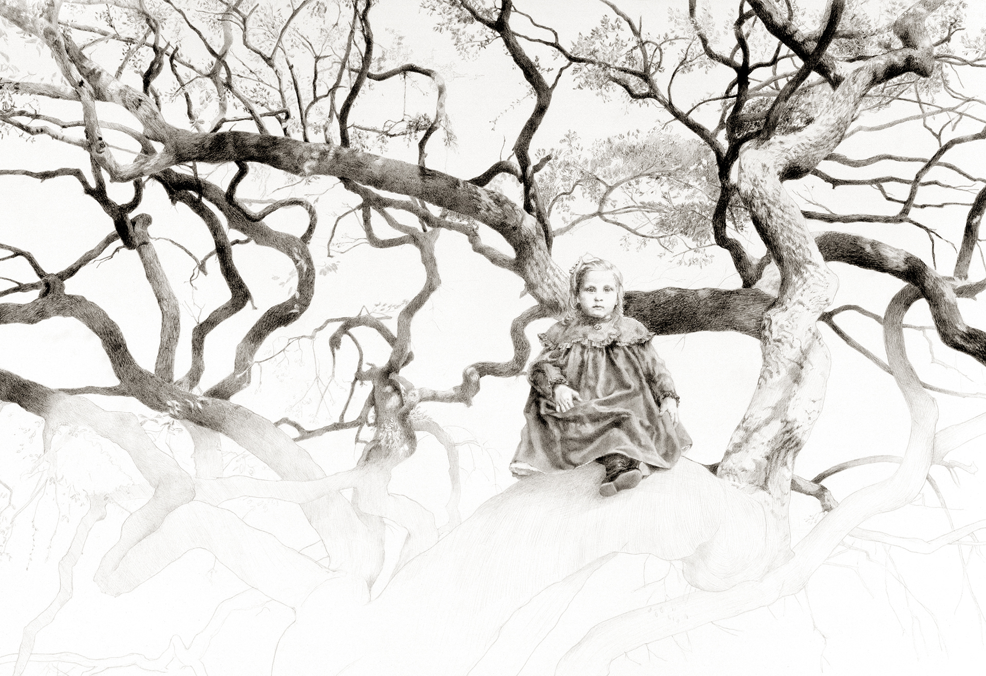 Arboricole - Graphite on paper, 21" x 14" - Reproduction available - In the collection of Osceola County Commission (Kissimmee, FL)