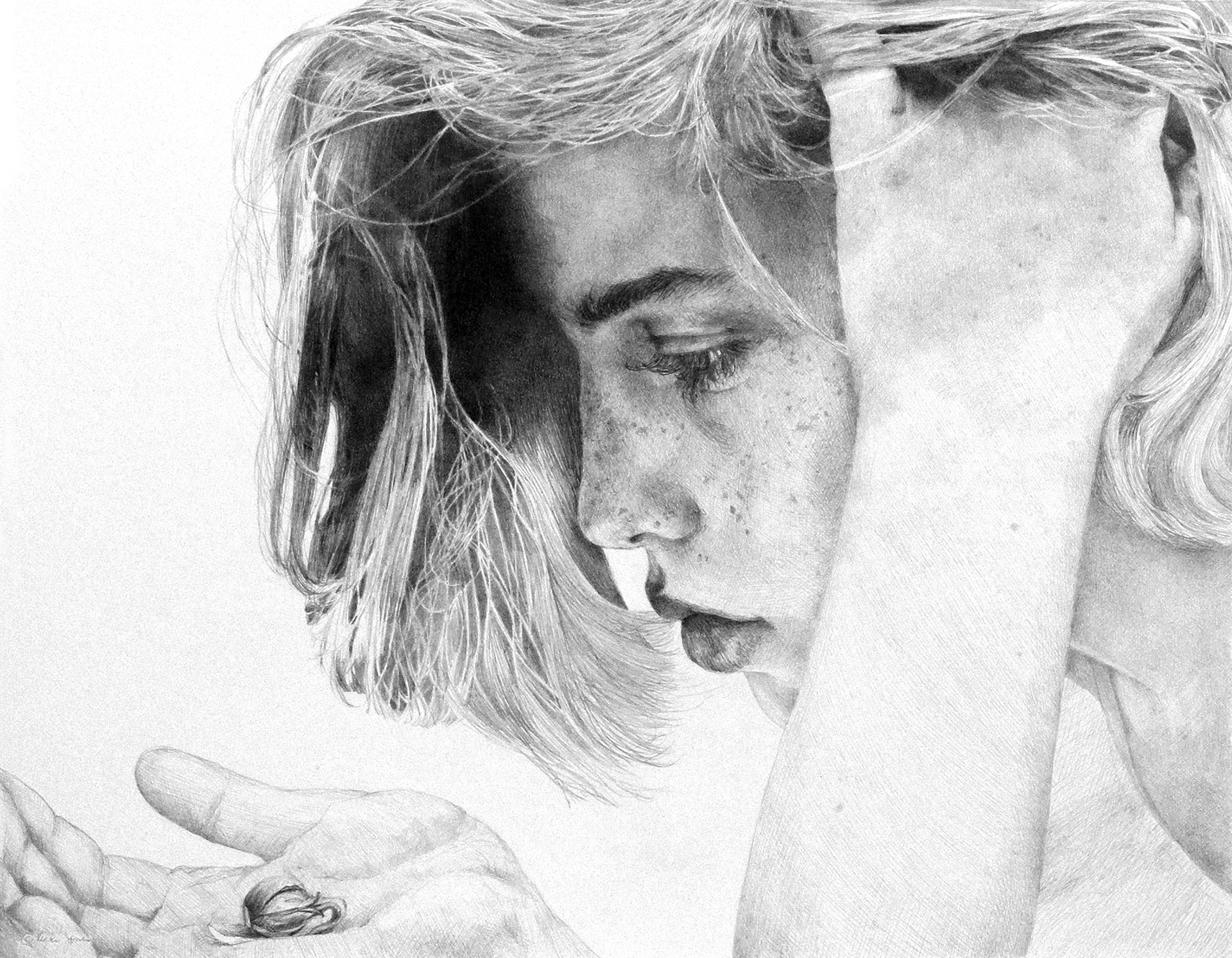 Sprout - Graphite on paper, 17" x 13" - Reproduction available