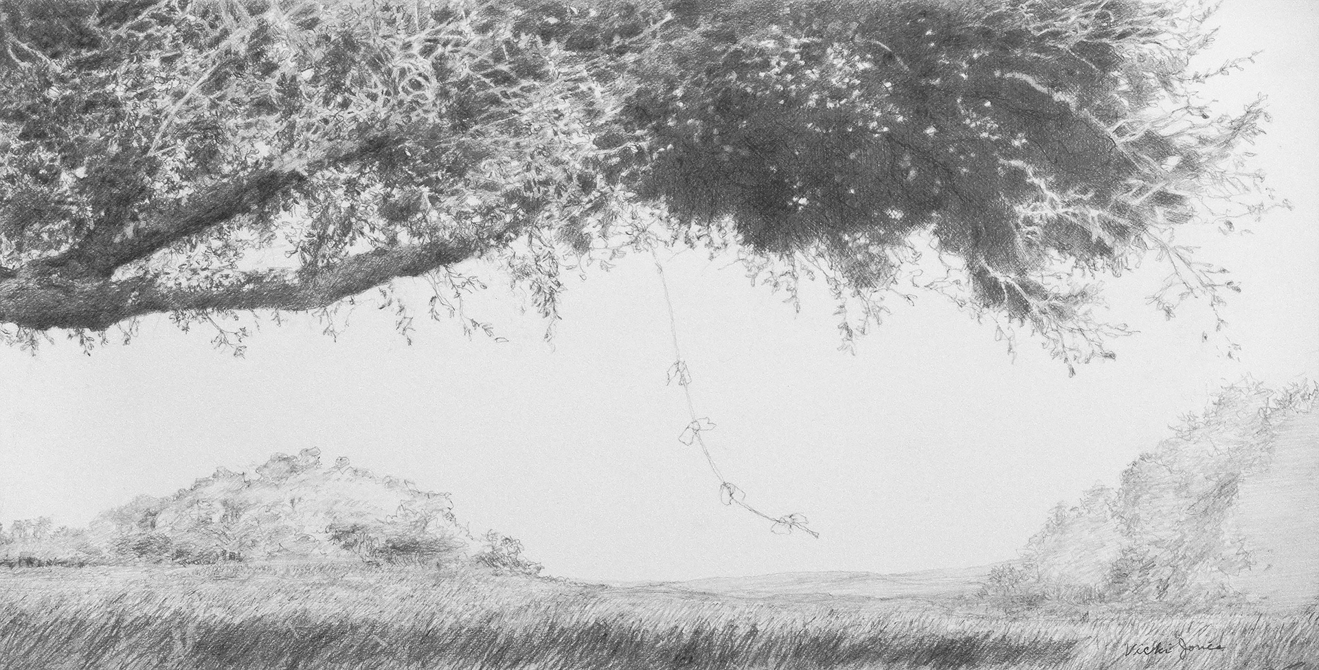 Kite-eating Tree - Graphite on paper, 13" x 6 1/2" - Original available