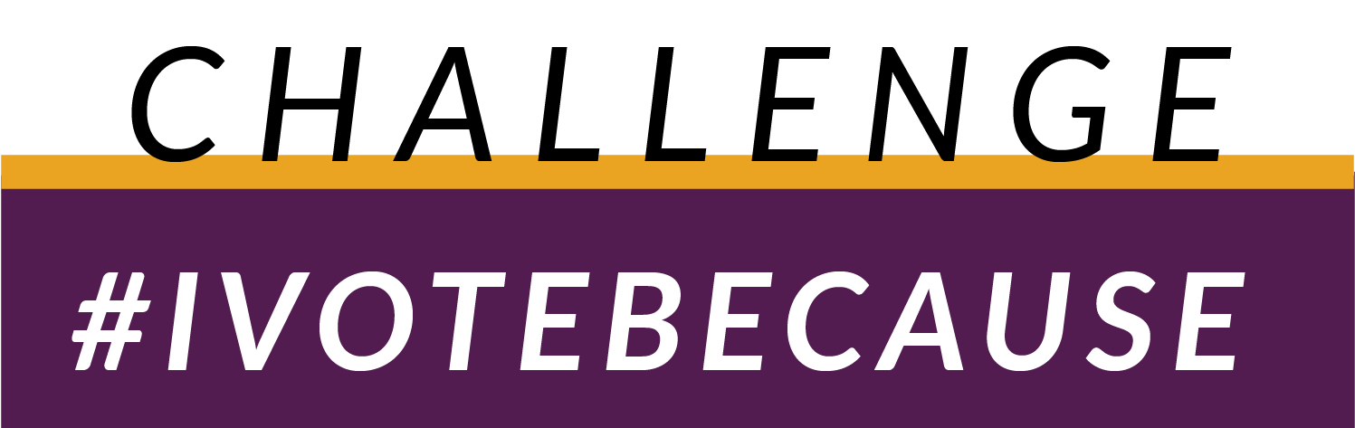in the branding kit-of-parts I developed these supplemental banners to use on different types of posts used within the campaign. the league's core colors are this plum and mustard.