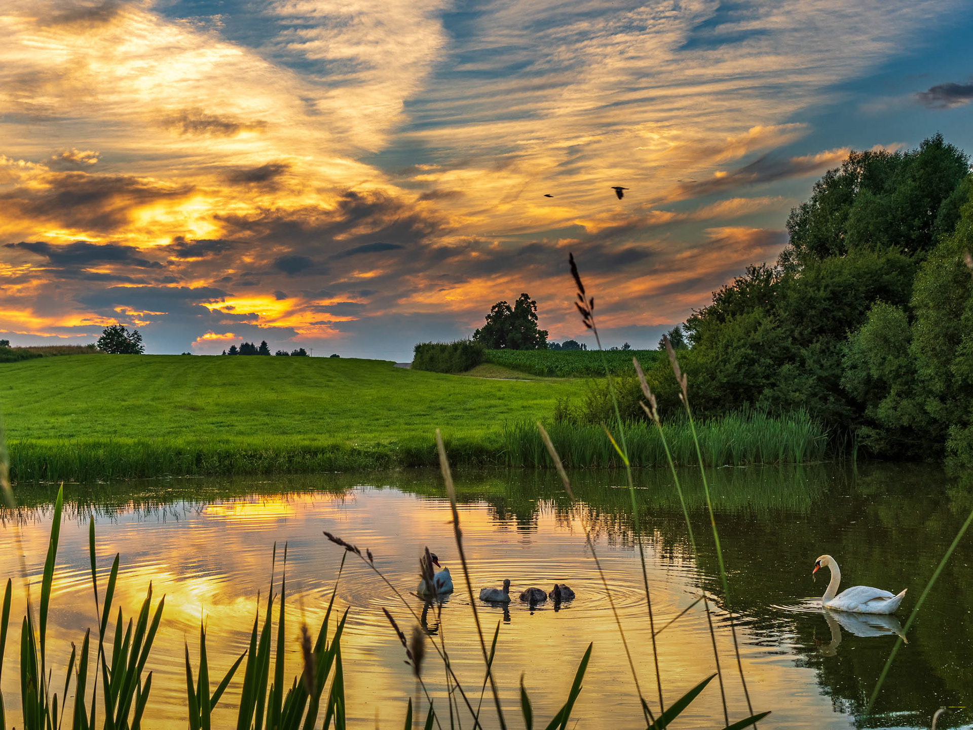 Sonnenuntergang am Sandweiher