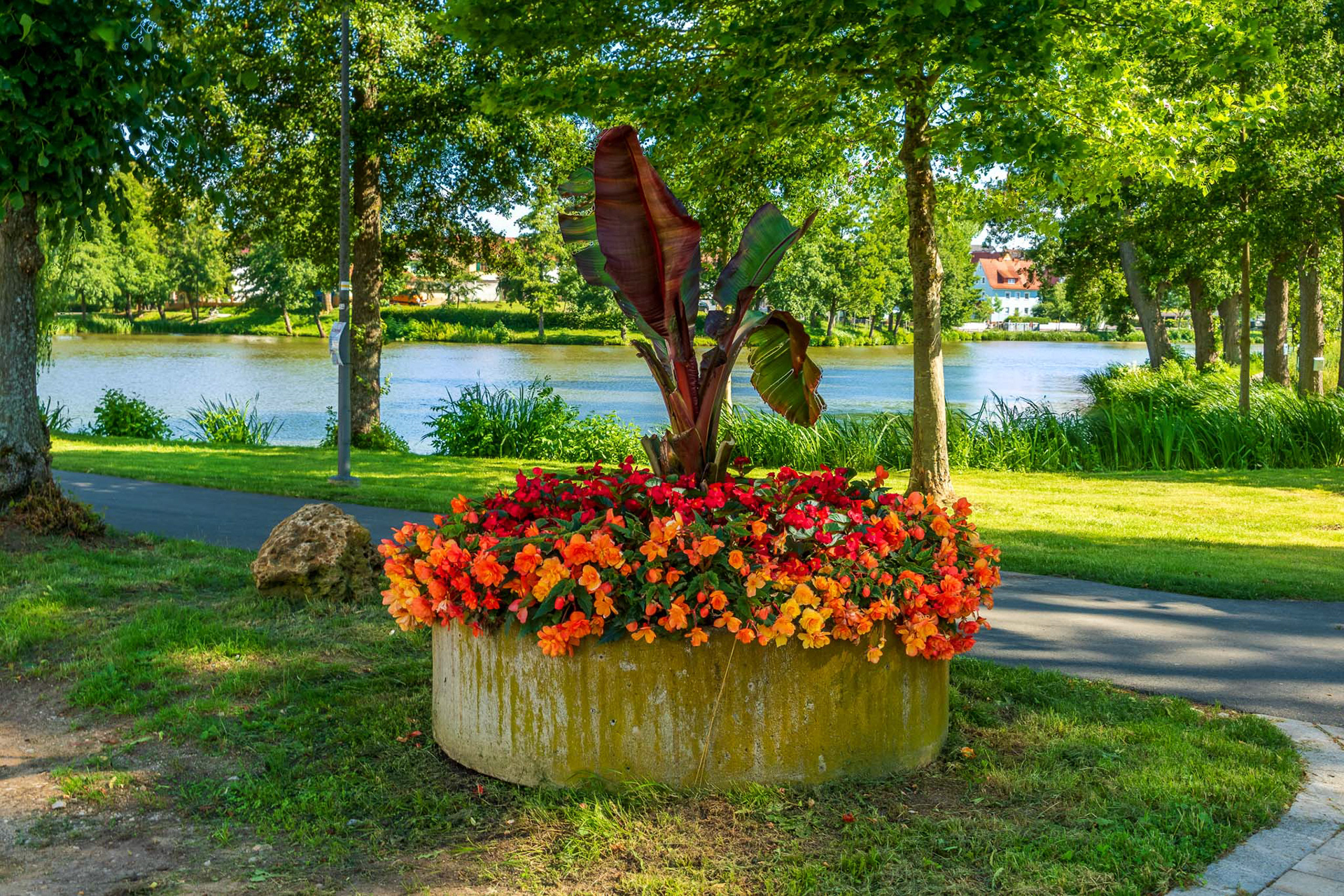 Blumeninsel mit Blick zum Stadtweiher