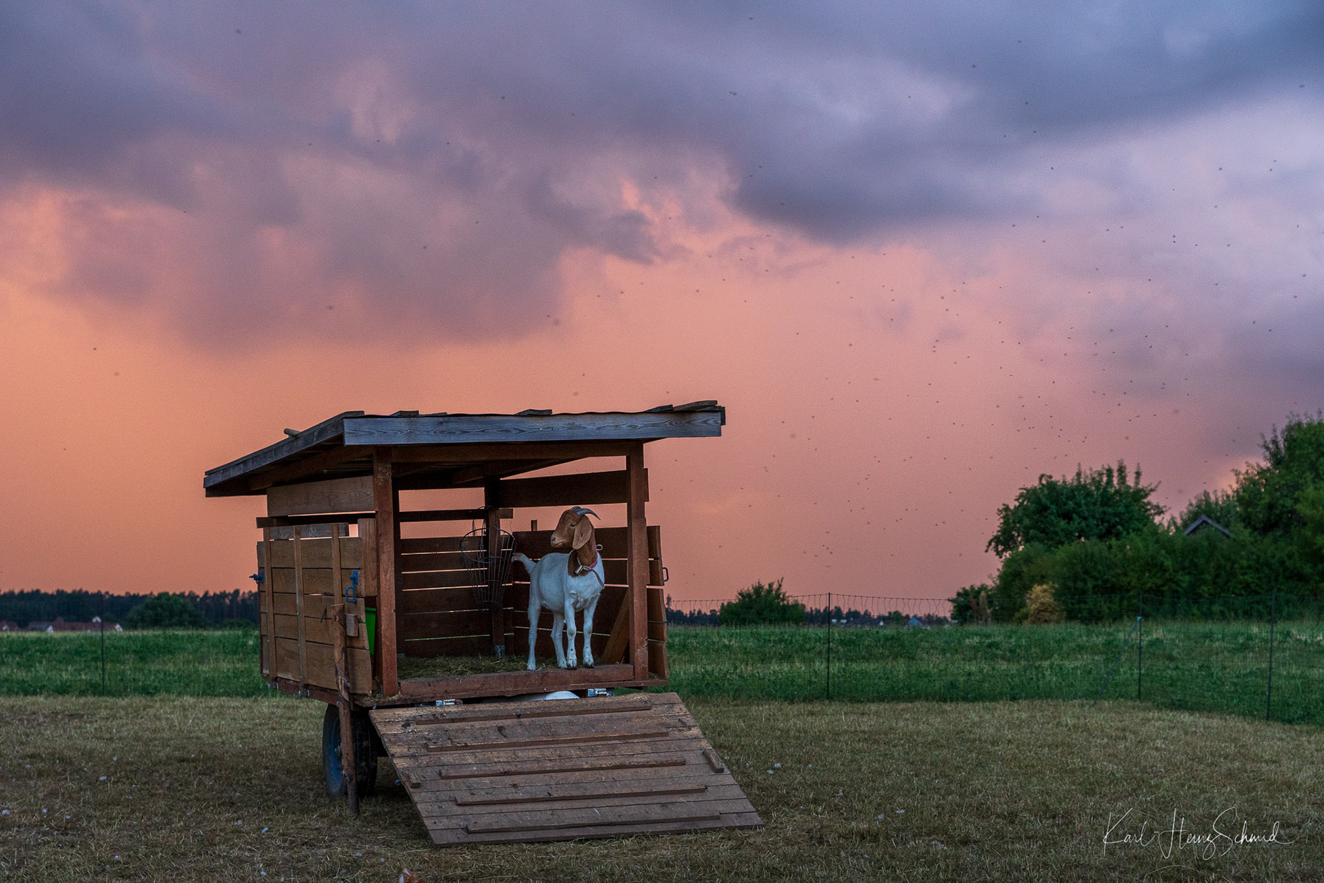 Sonnenuntergang Weidehof Rieger