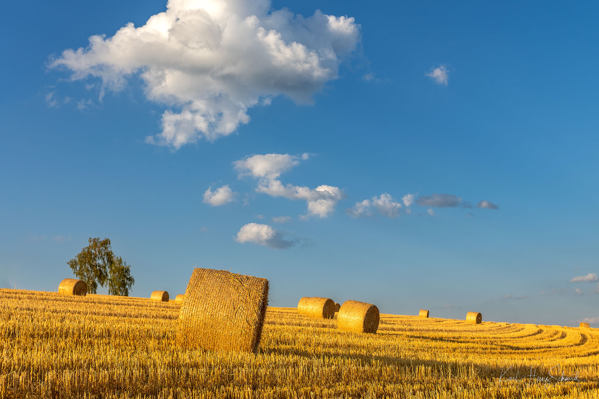 Sommerzeit - Erntezeit