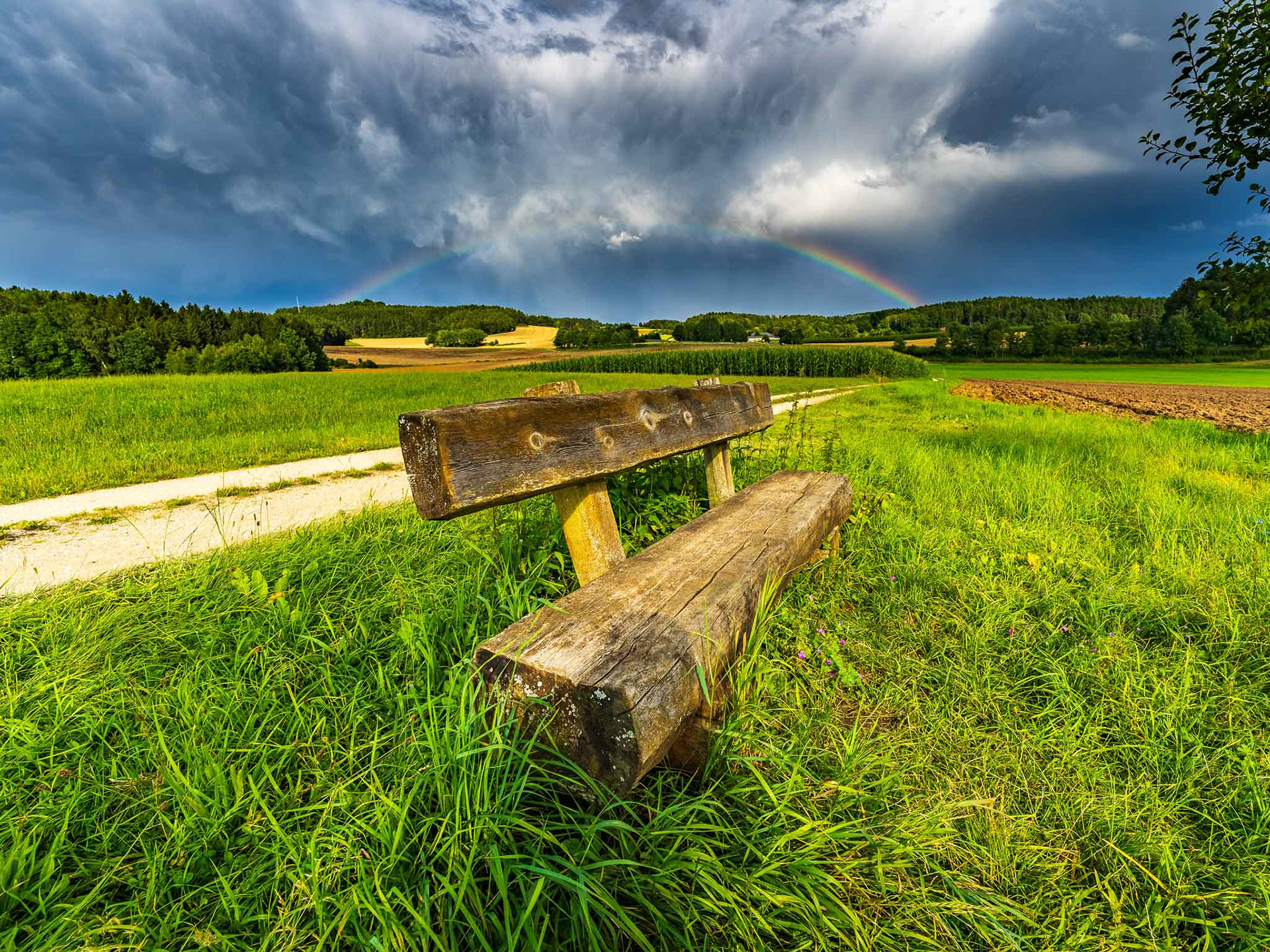 Obstlerweg bei Ohrenbach