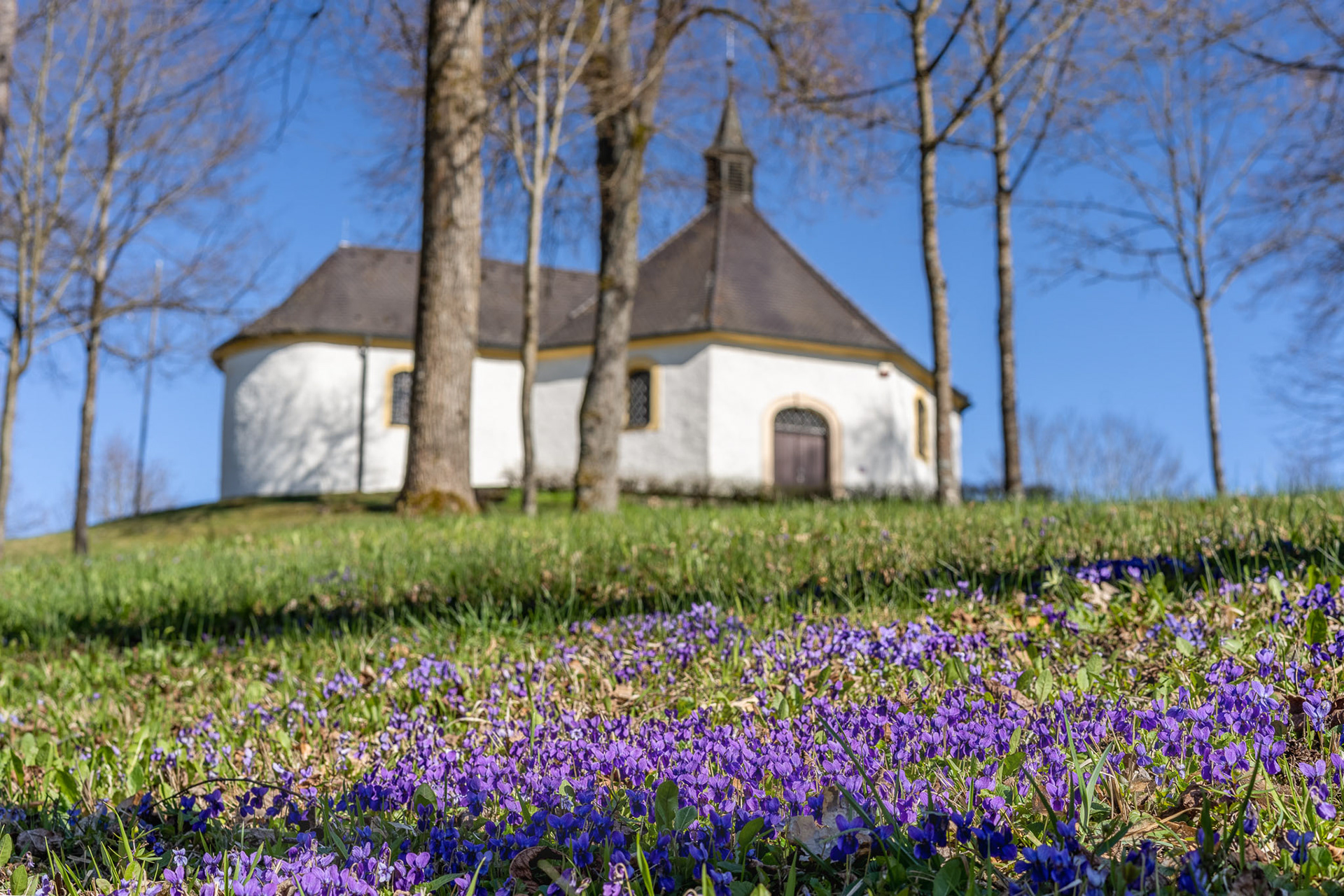 Maria Hilf Kapelle auf dem Pinzigberg