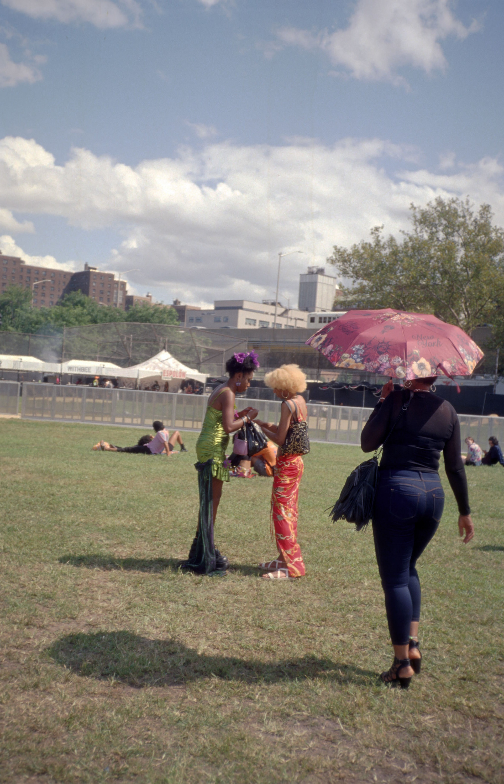Afropunk Festival, 2019
