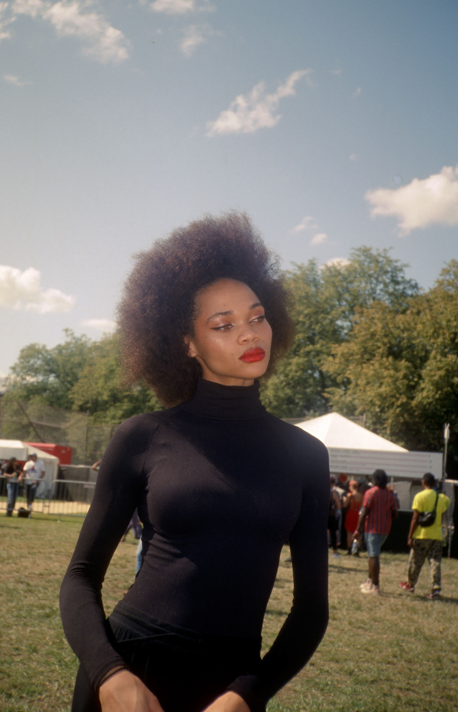 Afropunk Festival, 2019