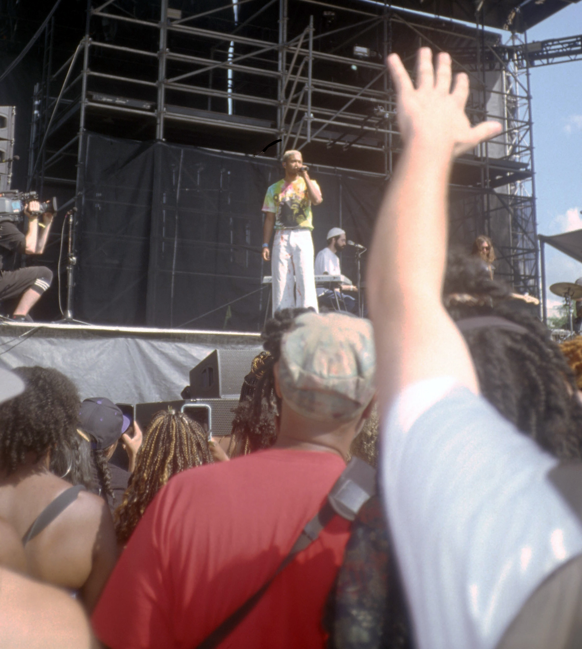 Afropunk Festival, 2019
