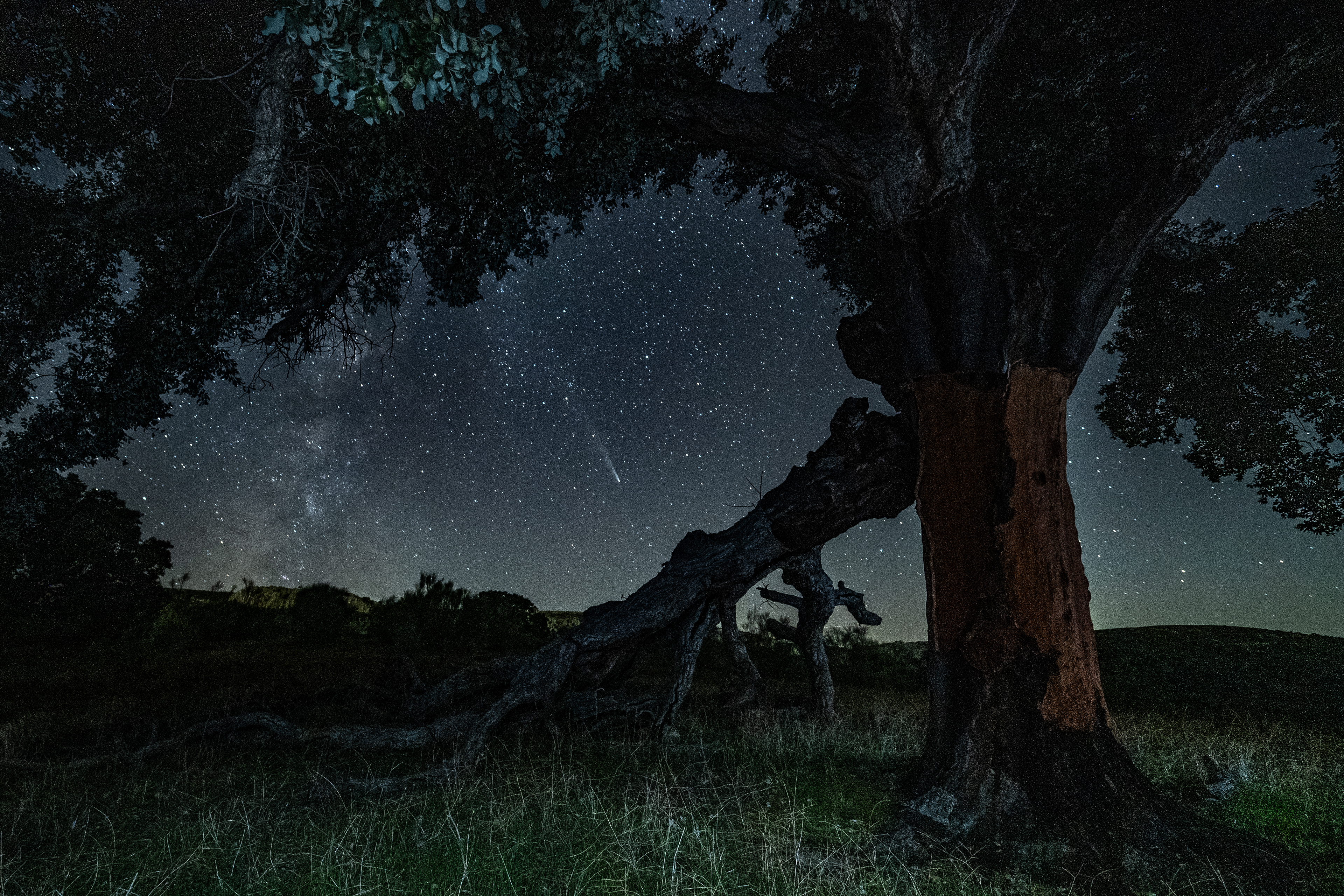 Estrematura - Newise