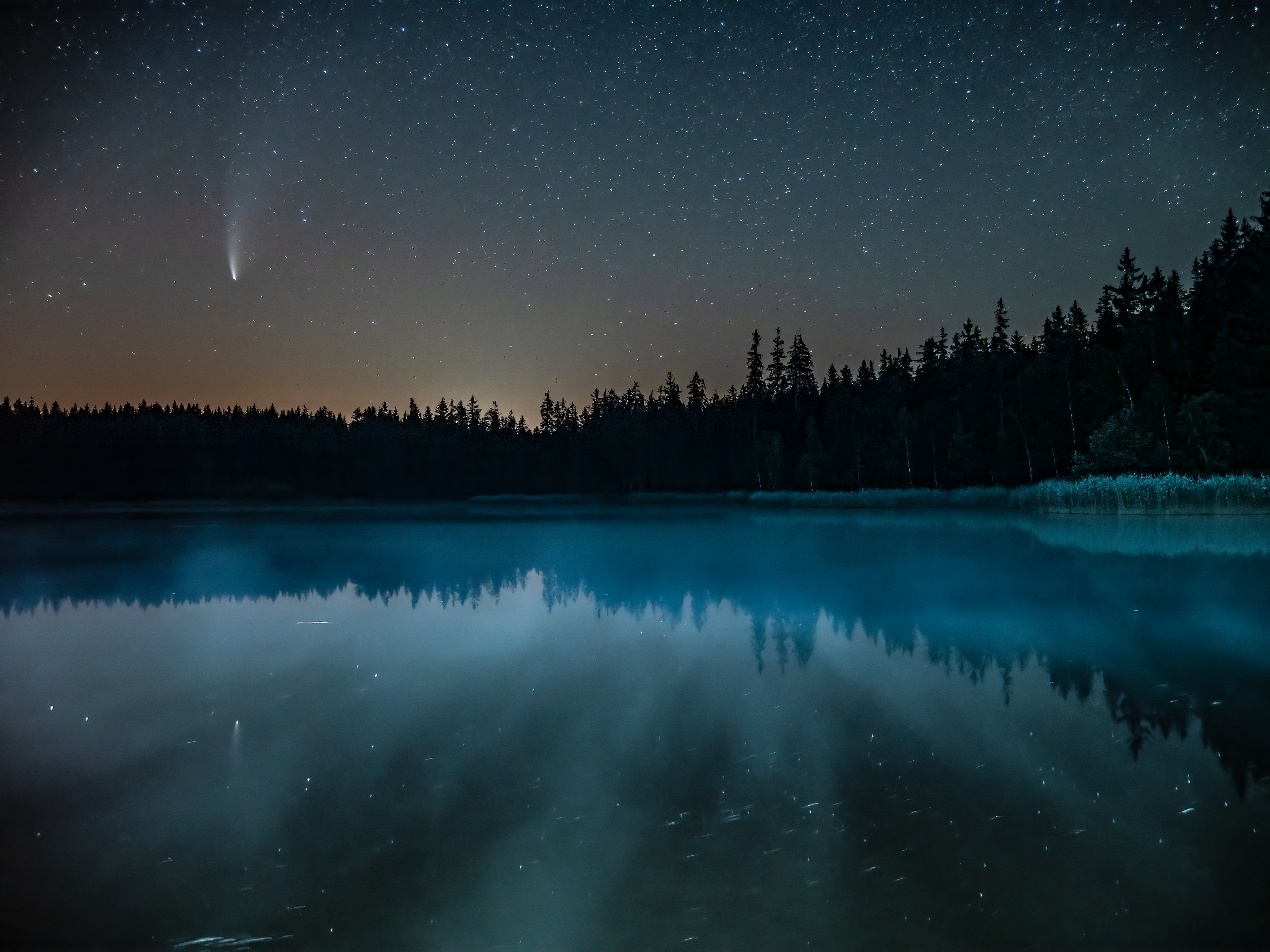 Neowise - Stierhübelteich