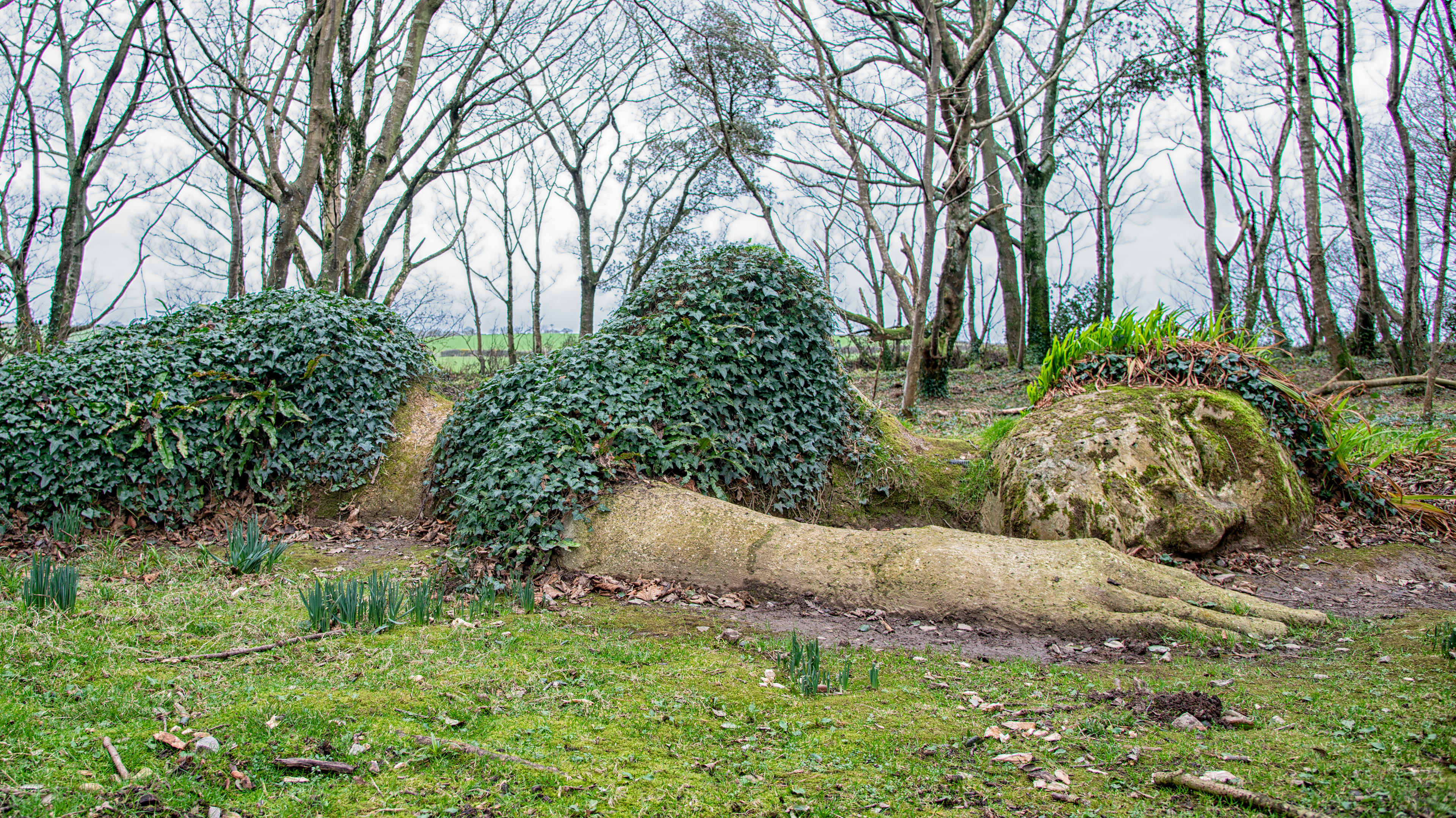 Lost Gardens of Heligan