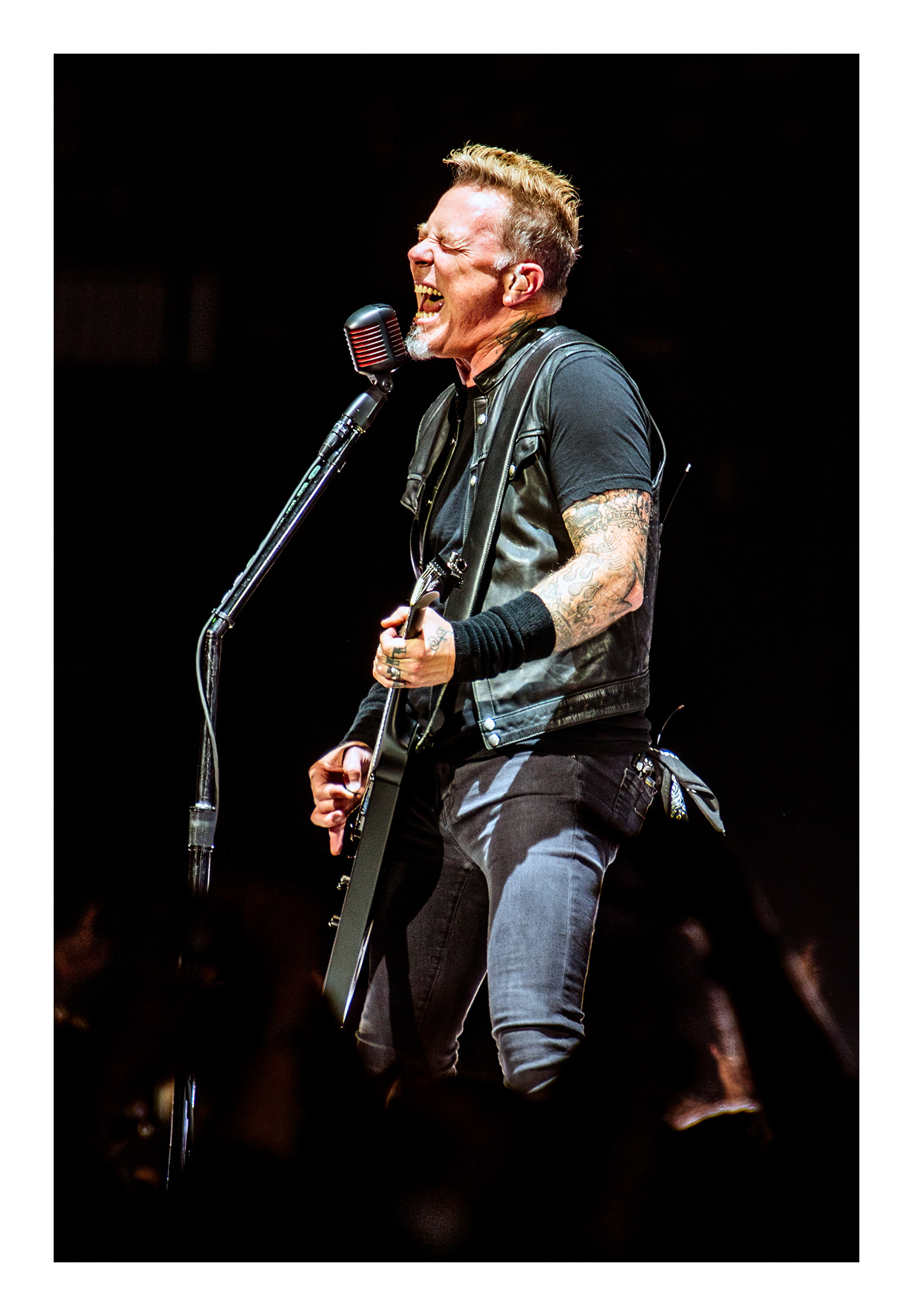 James Hetfield / Metallica