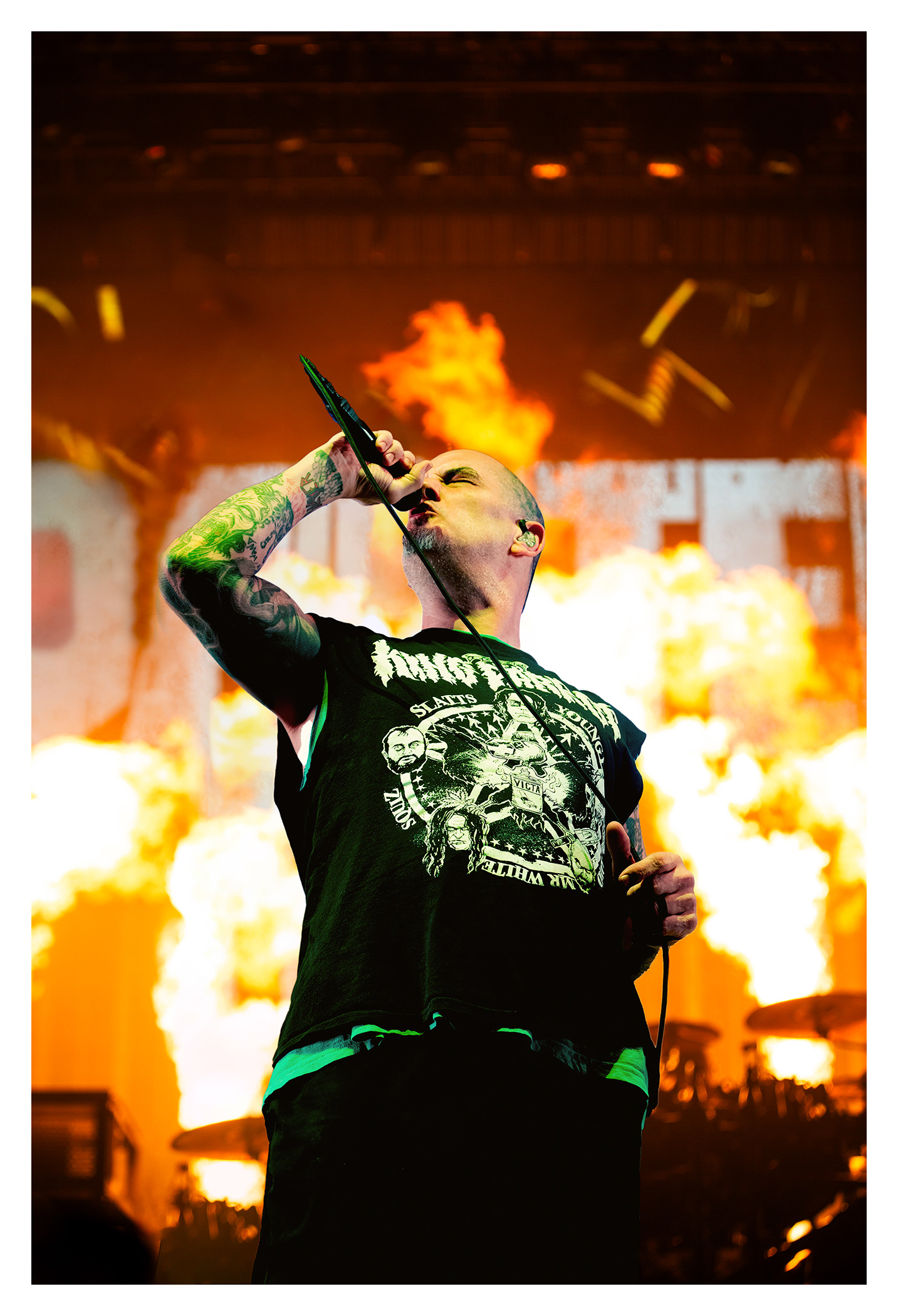 Pantera