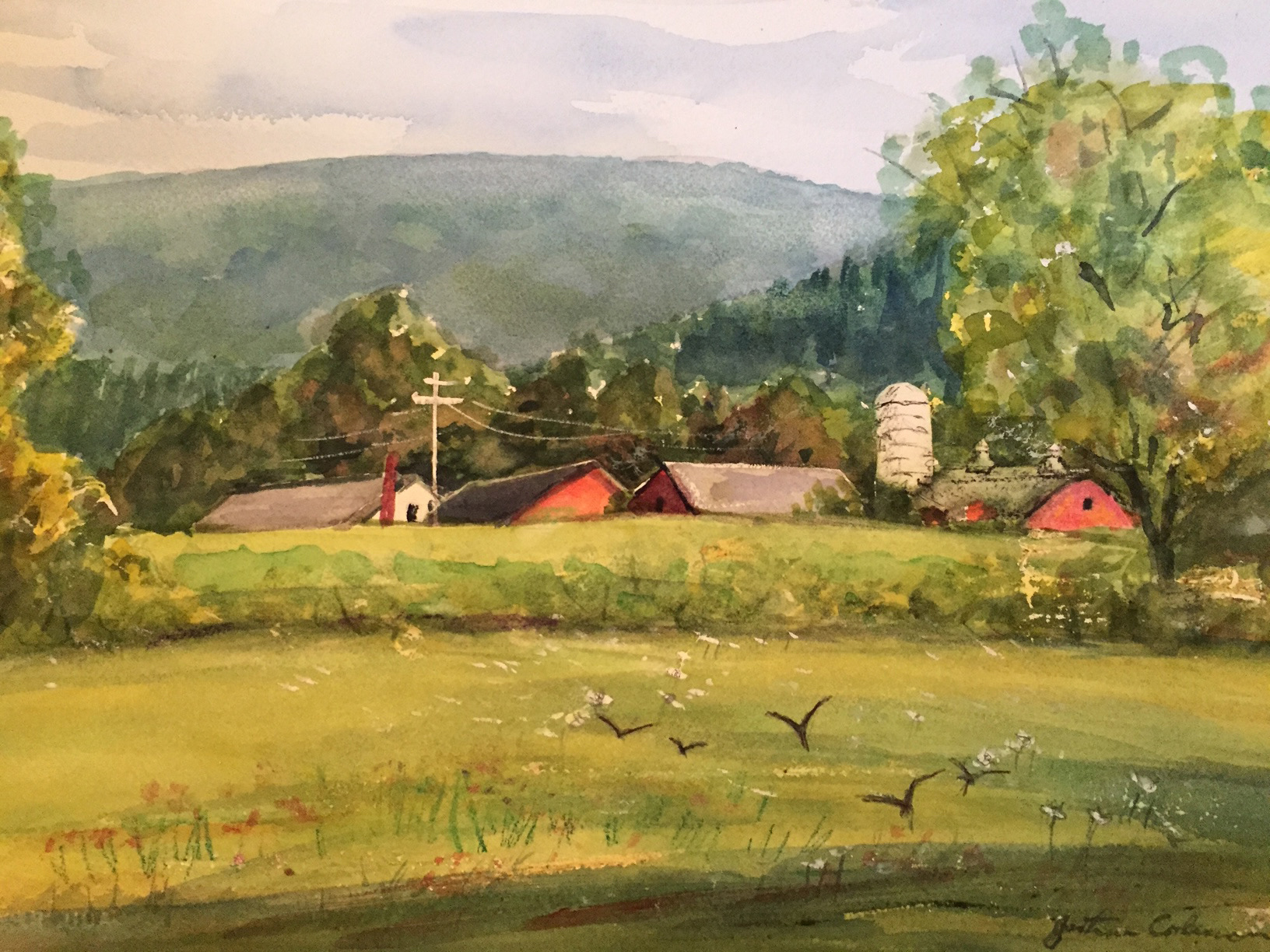 Farm
