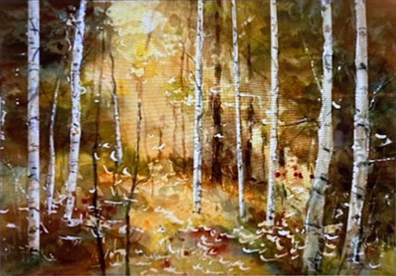 Birch Trees