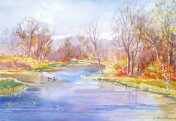 Pond with Ducks