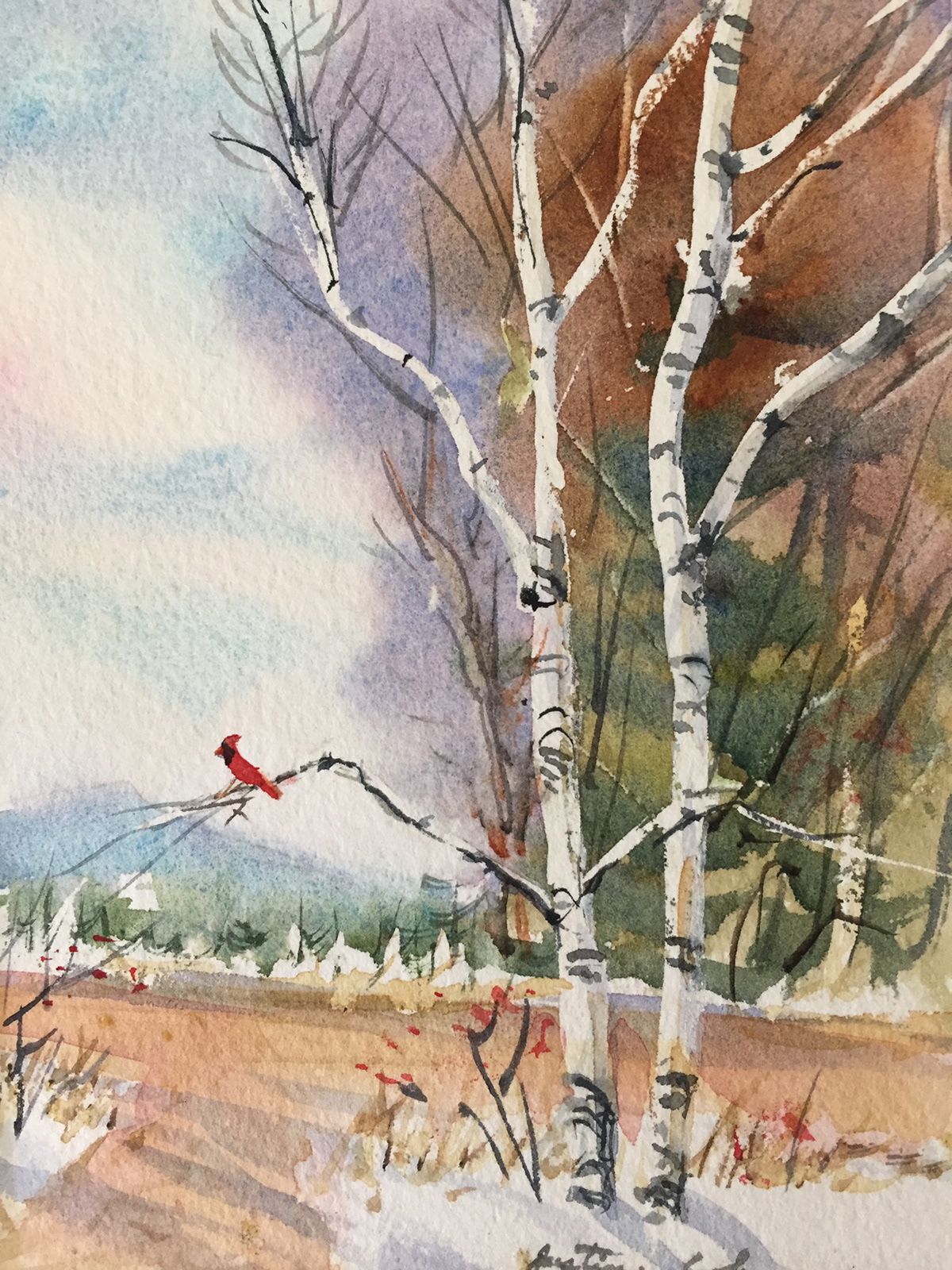 Cardinal