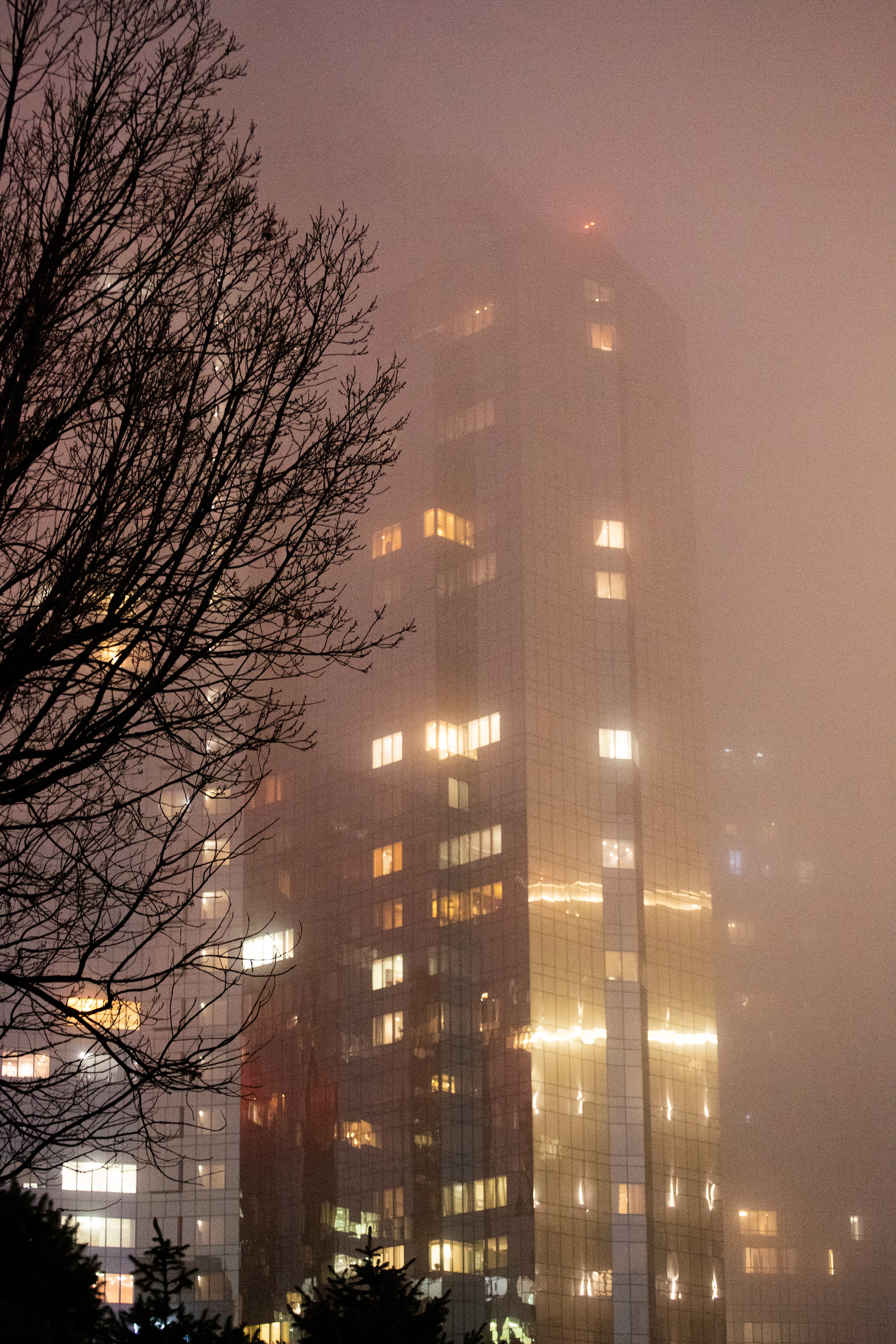 Emre Bastıyalı - Muğlak Fotoğraflar