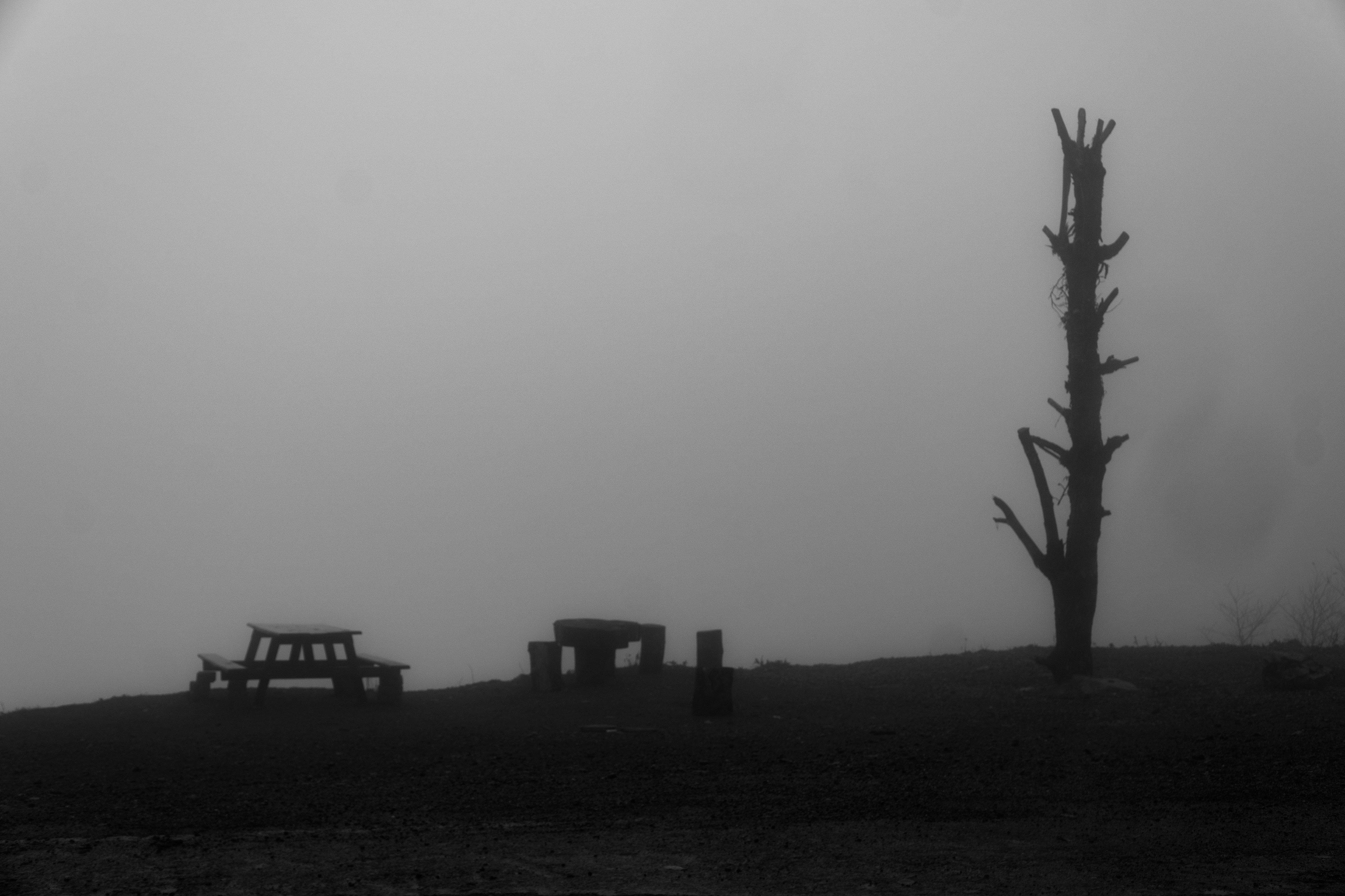 Deniz Ural - Muğlak Fotoğraflar