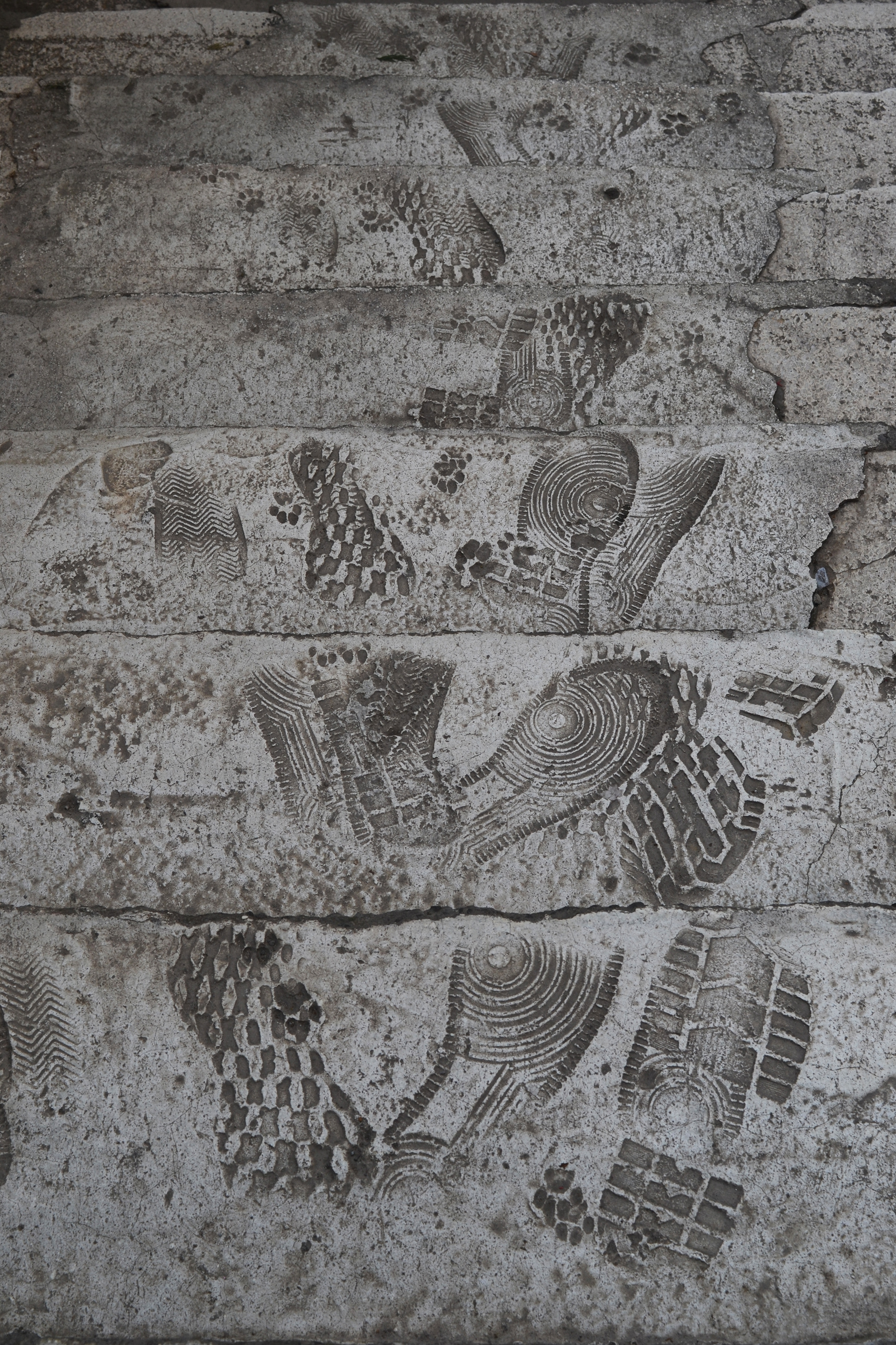 Özlem Öğüt Yazıcıoğlu - Muğlak Fotoğraflar