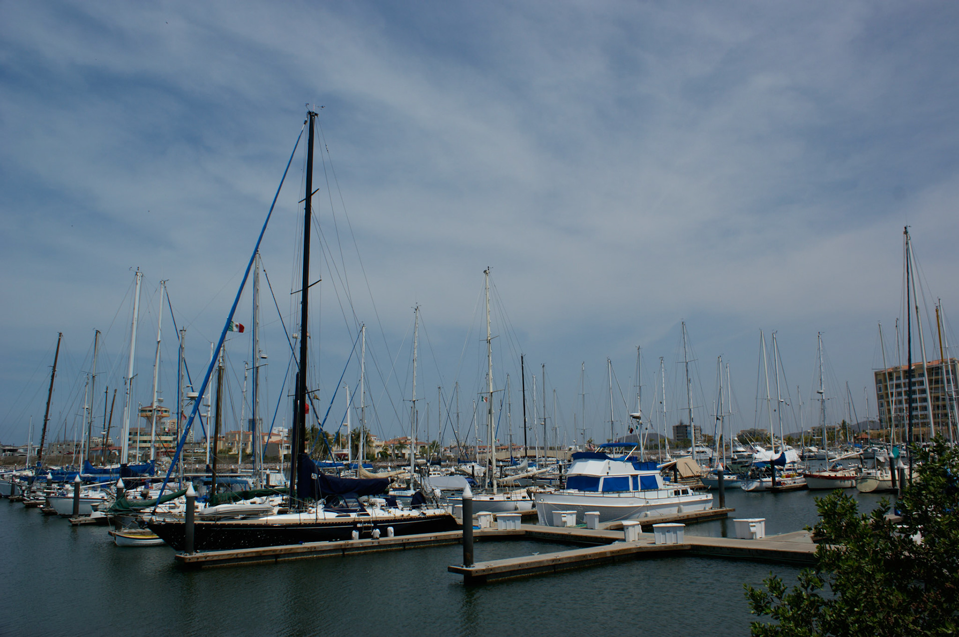 SONY DSC