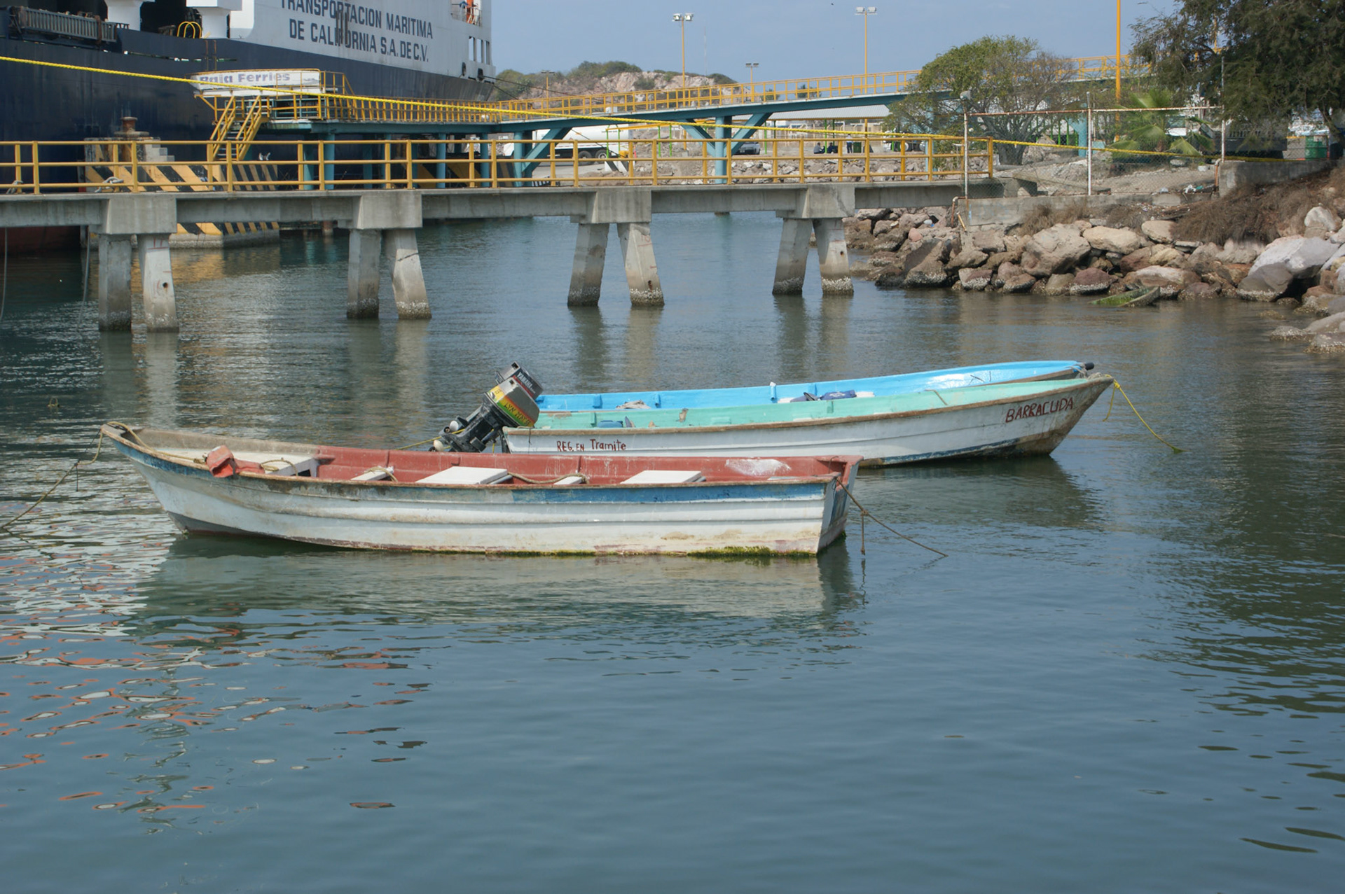 SONY DSC