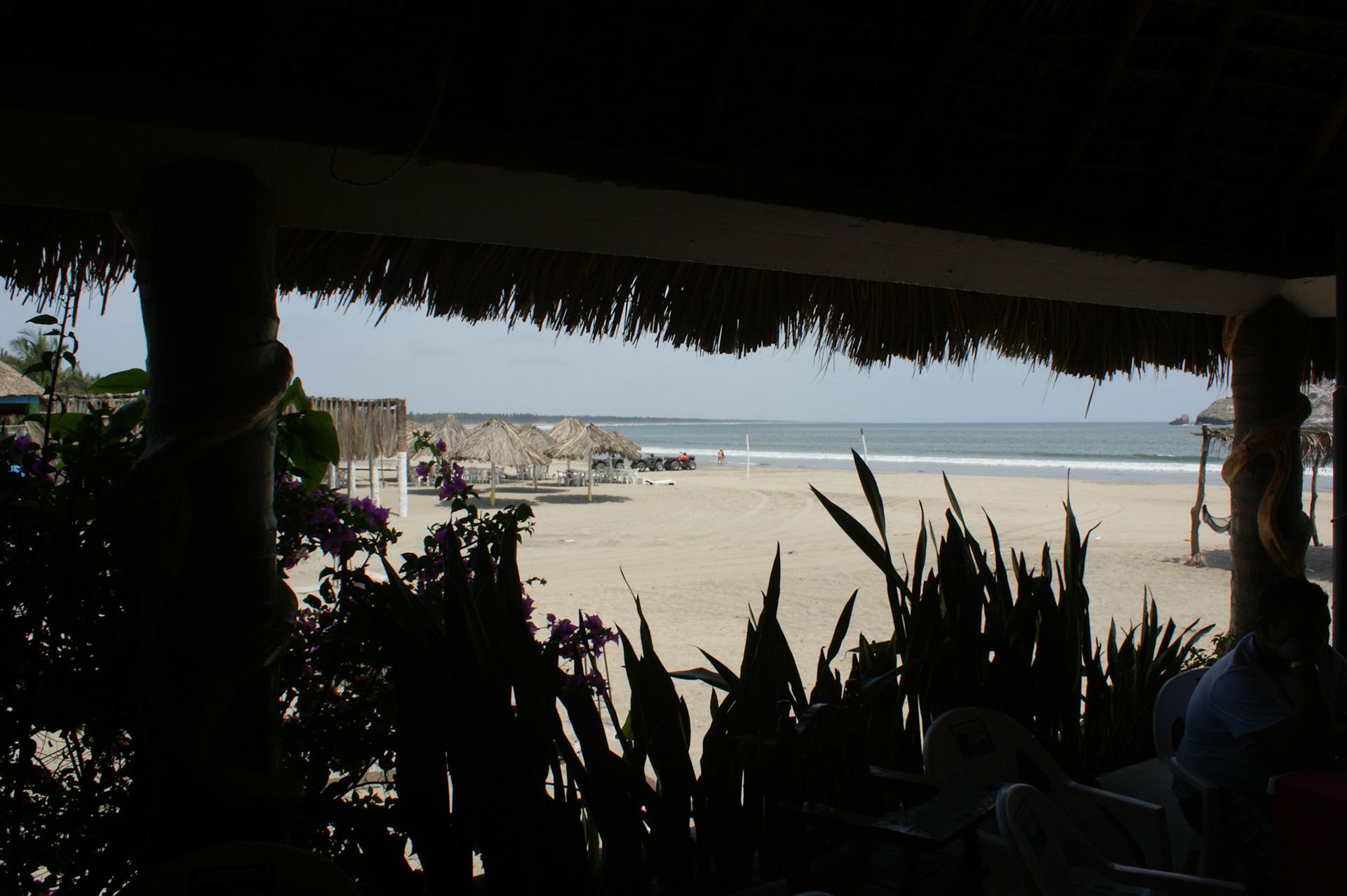 SONY DSC