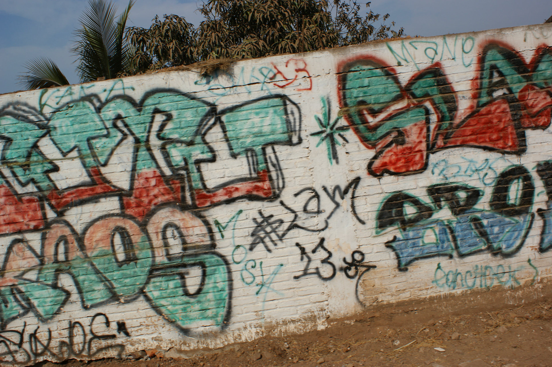 SONY DSC