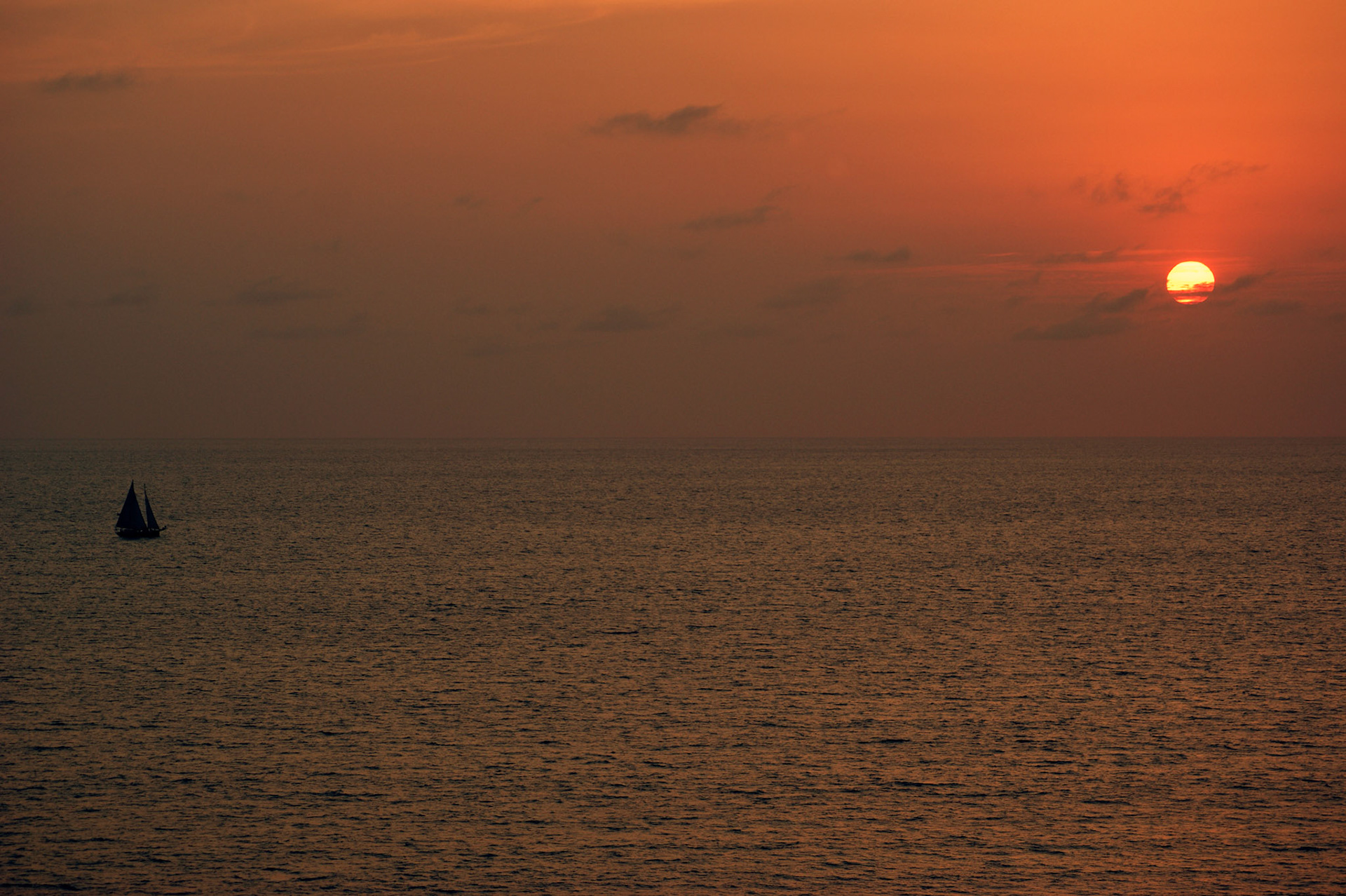 SONY DSC