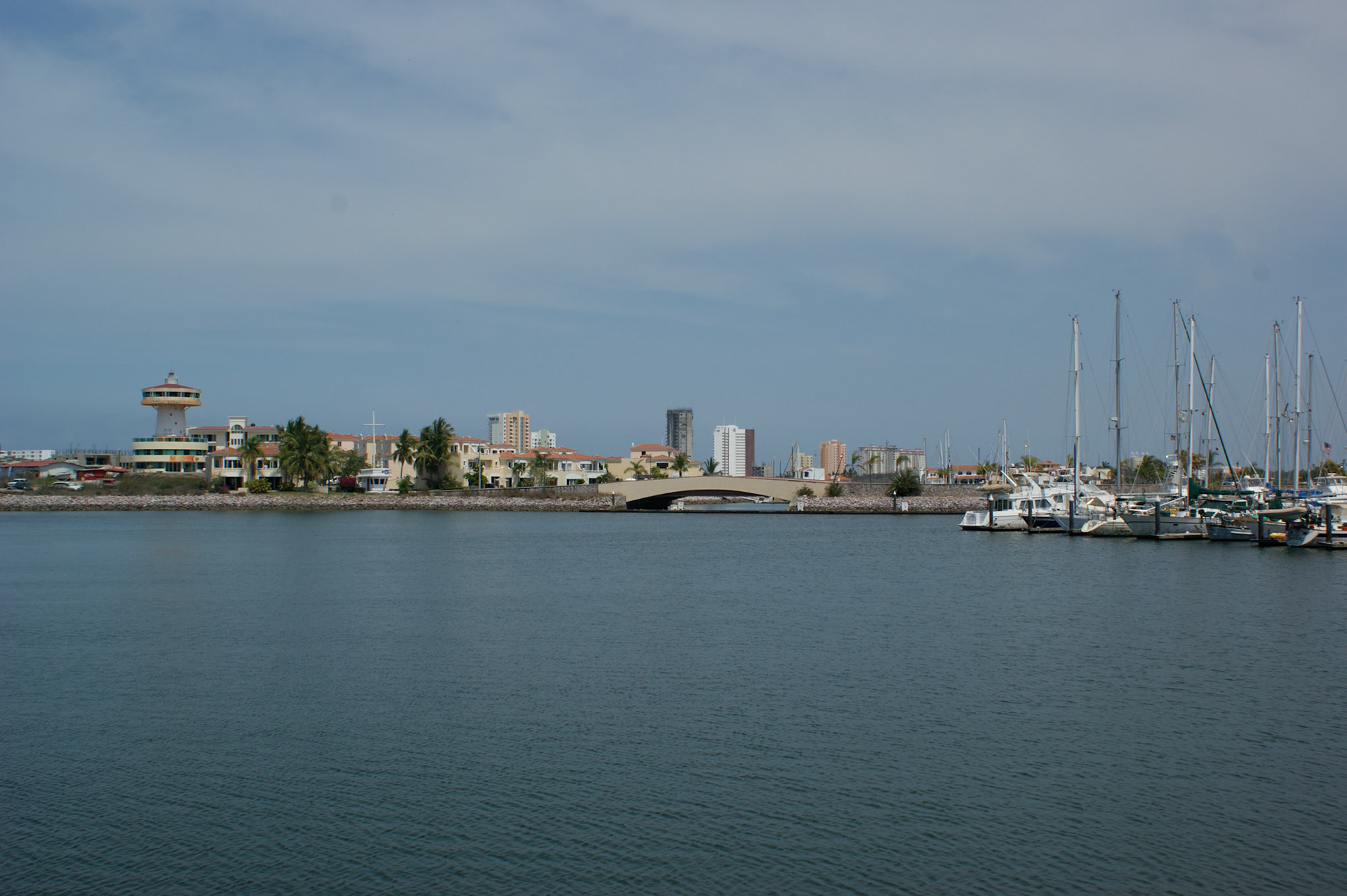 SONY DSC