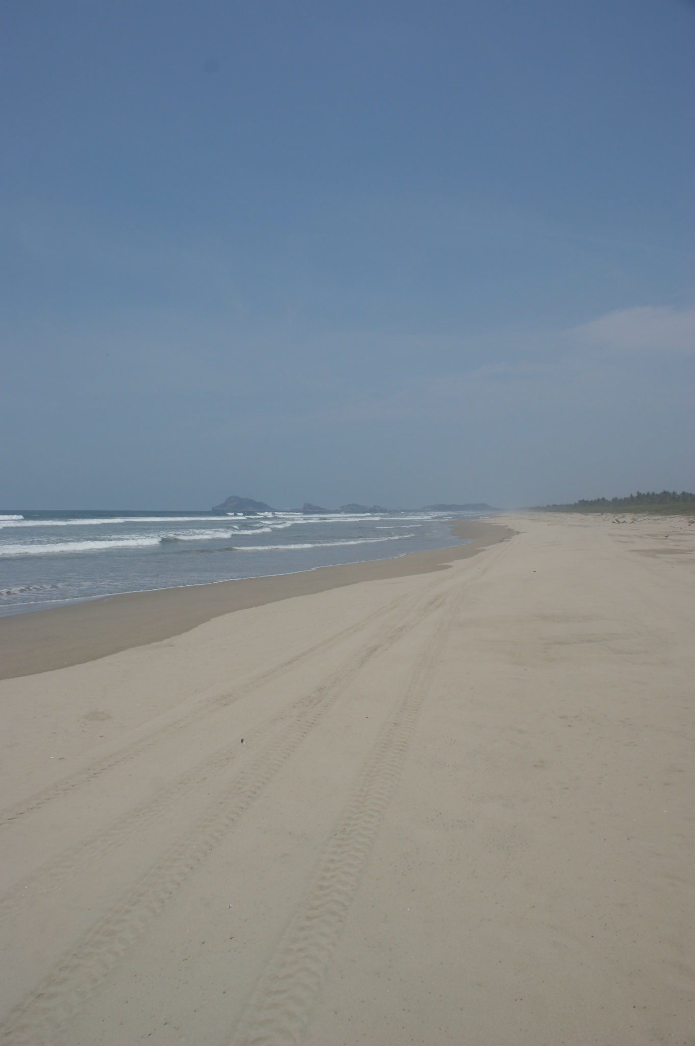 SONY DSC
