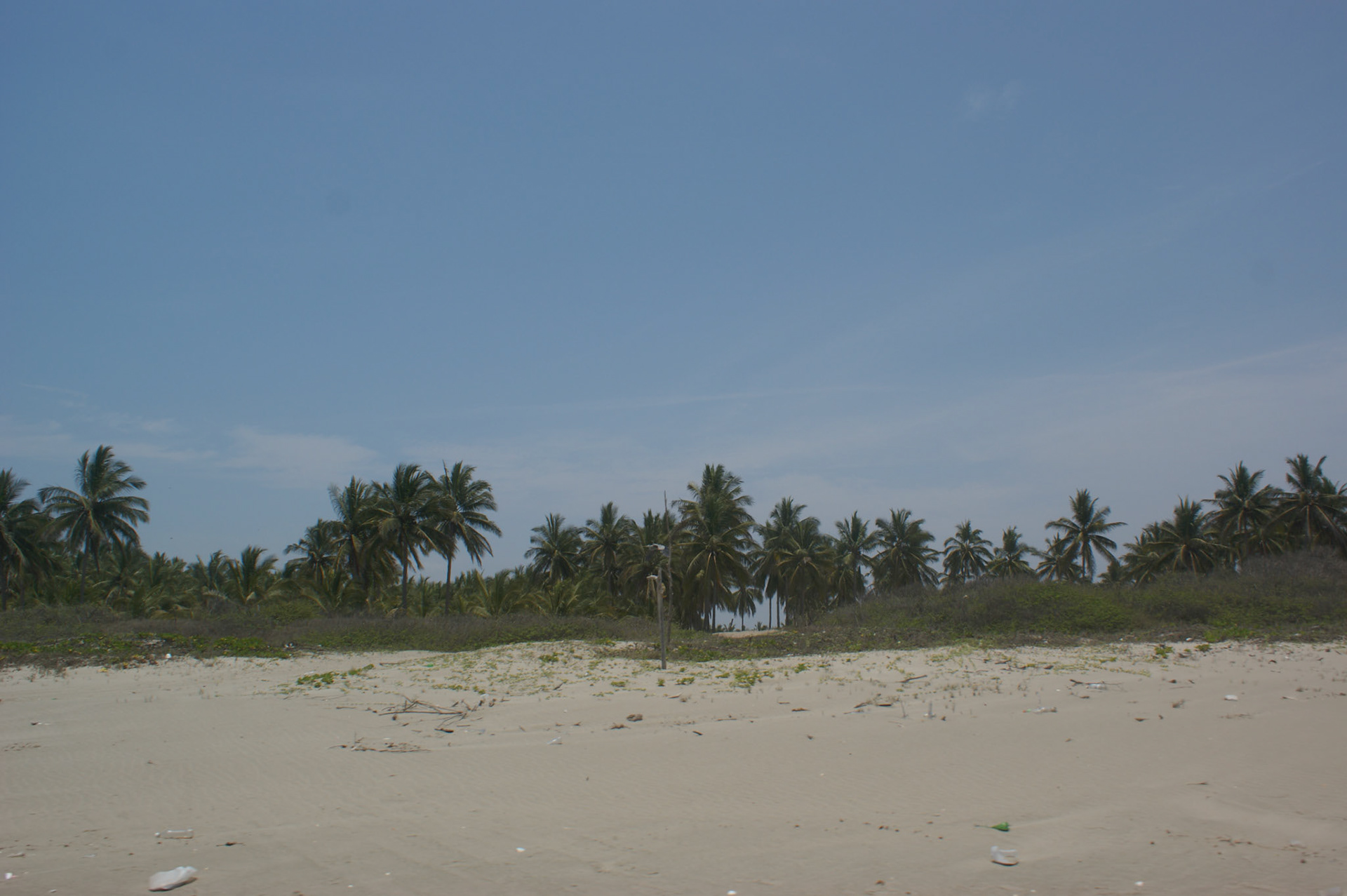 SONY DSC