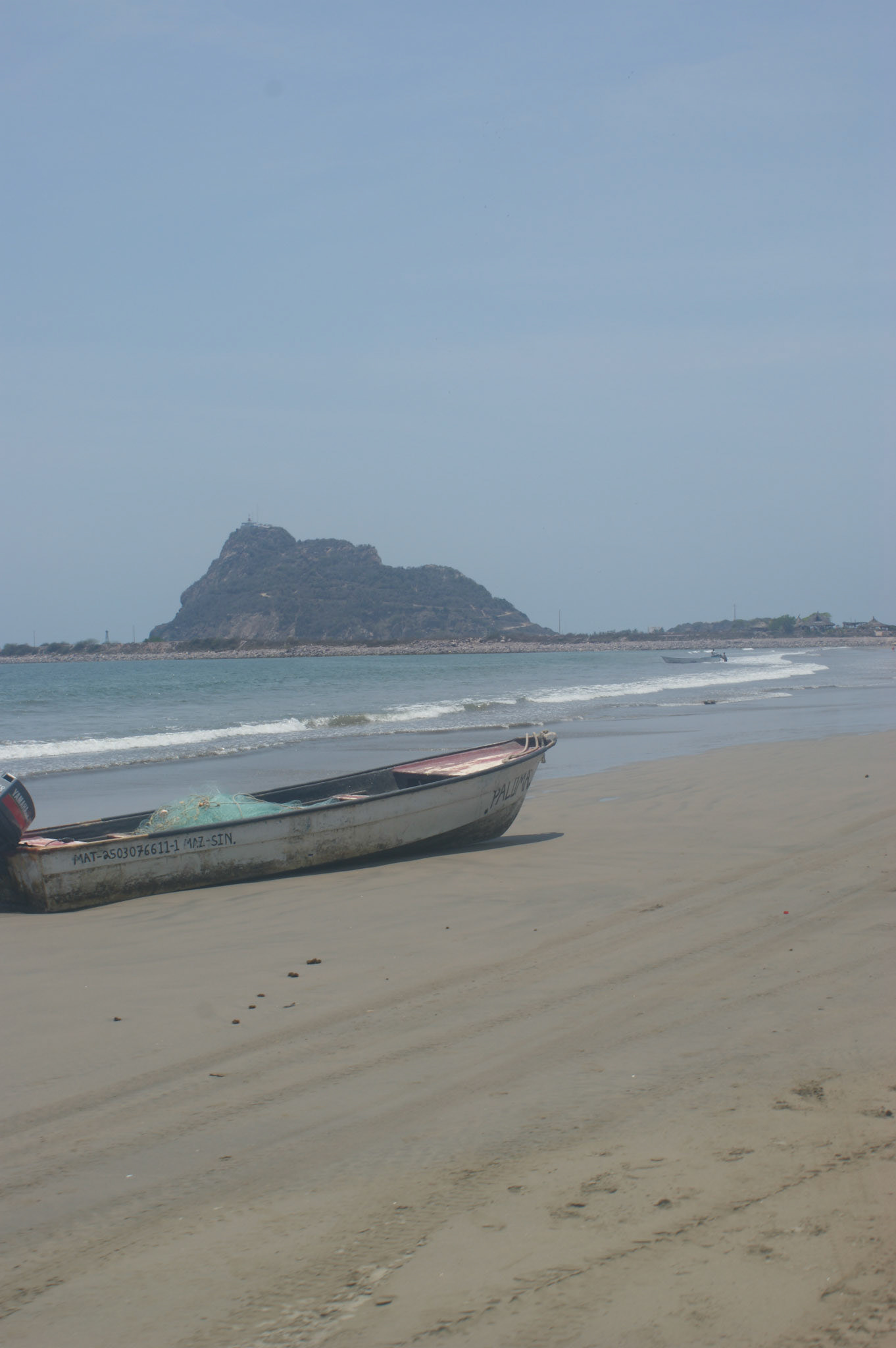 SONY DSC