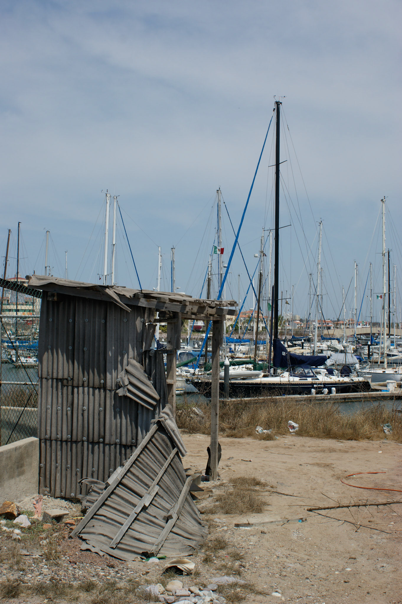 SONY DSC