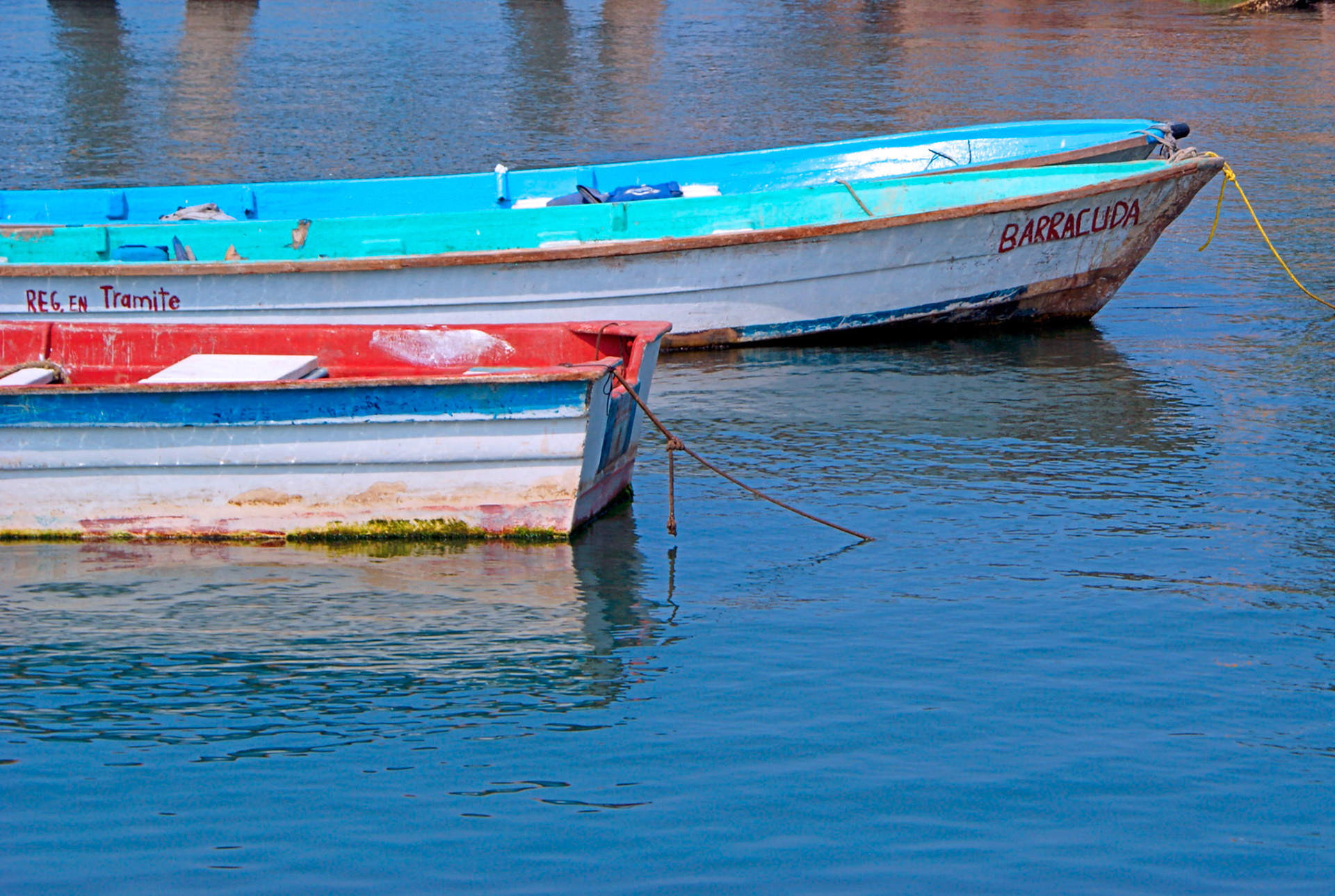 SONY DSC