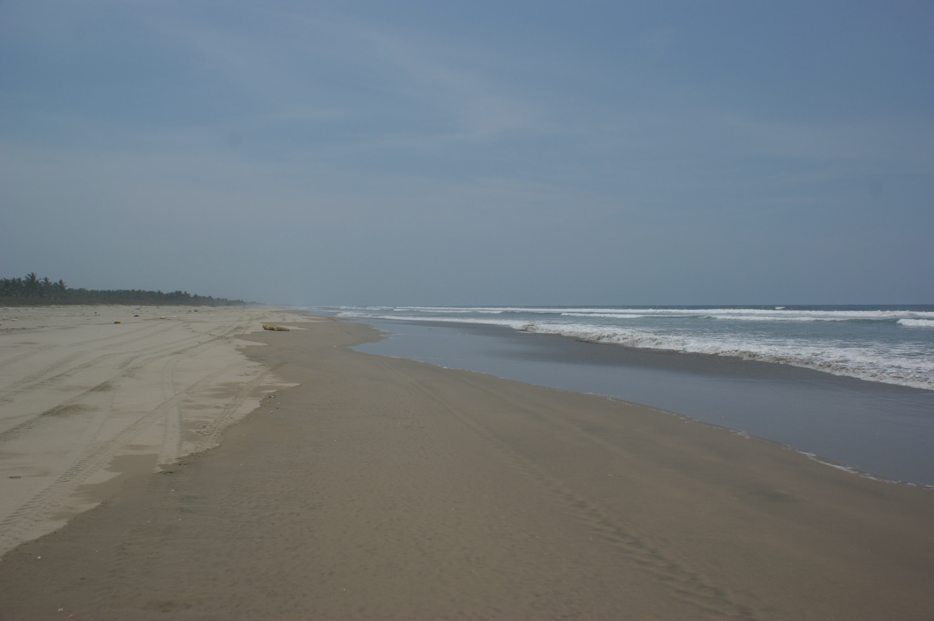 SONY DSC