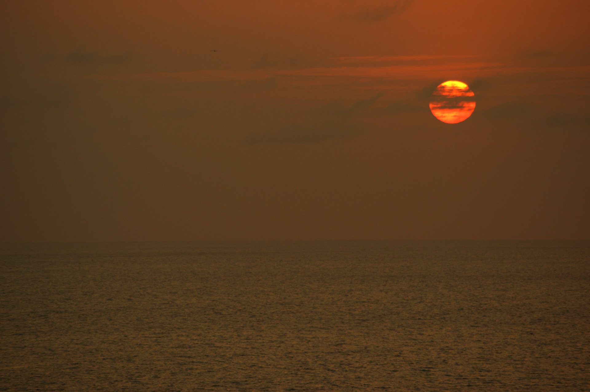 SONY DSC