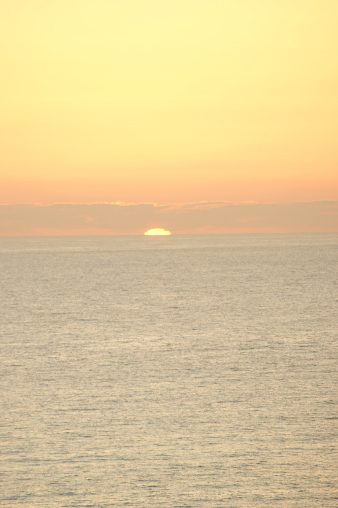 SONY DSC