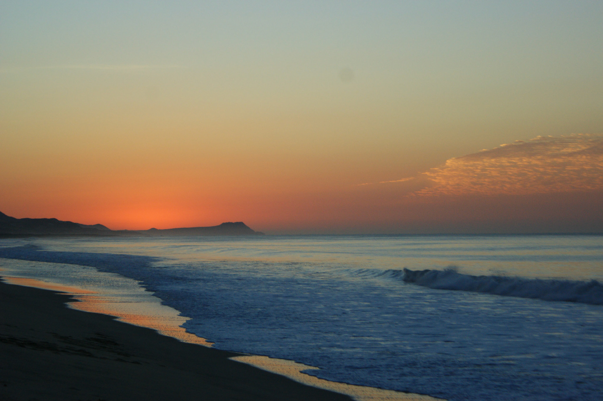 SONY DSC