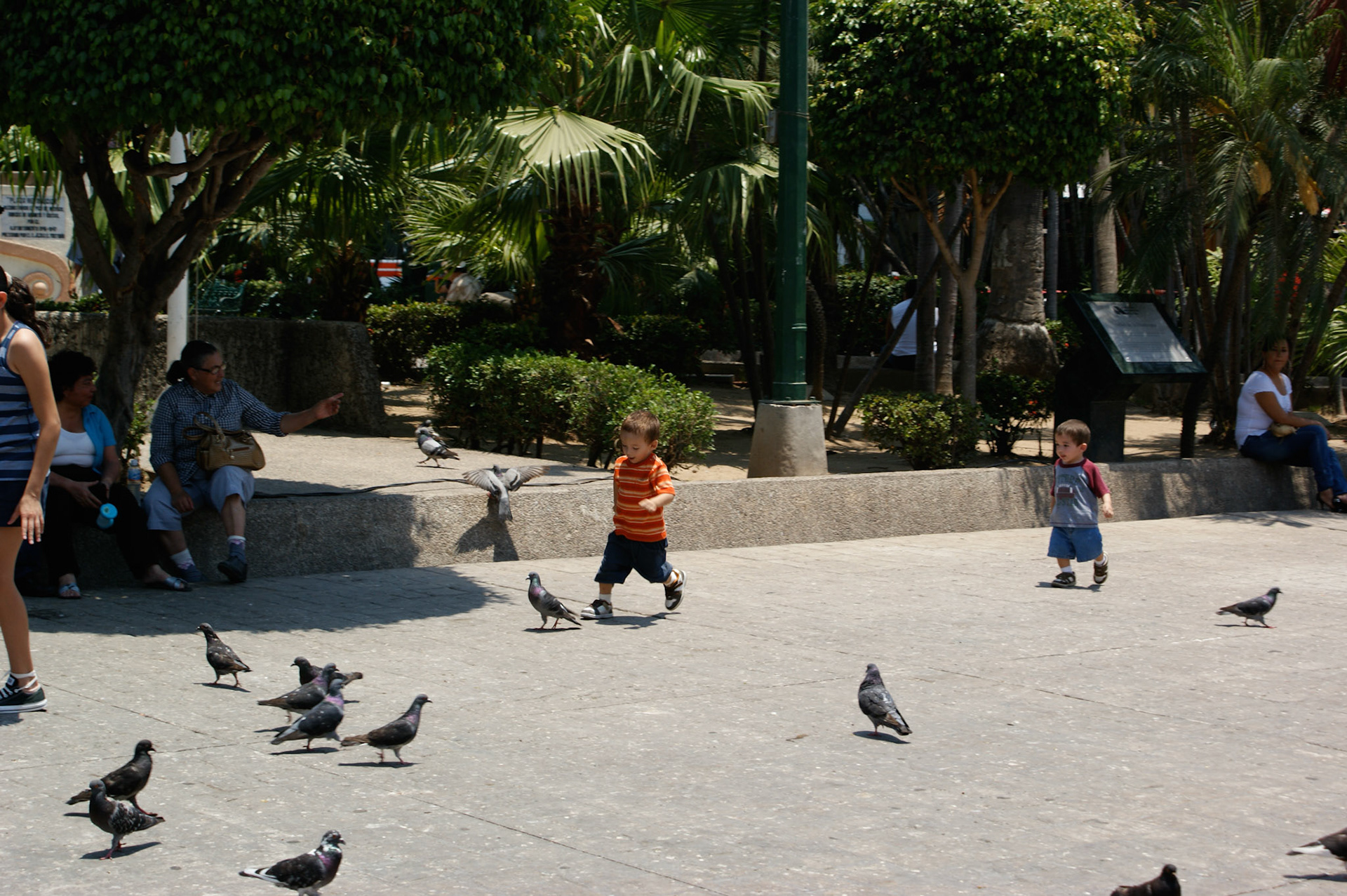 SONY DSC