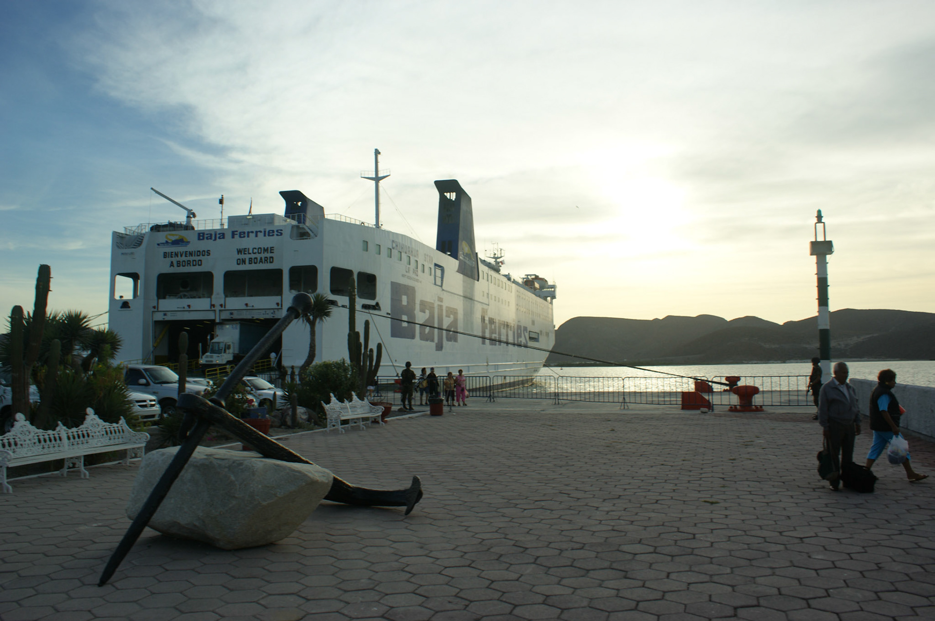 SONY DSC