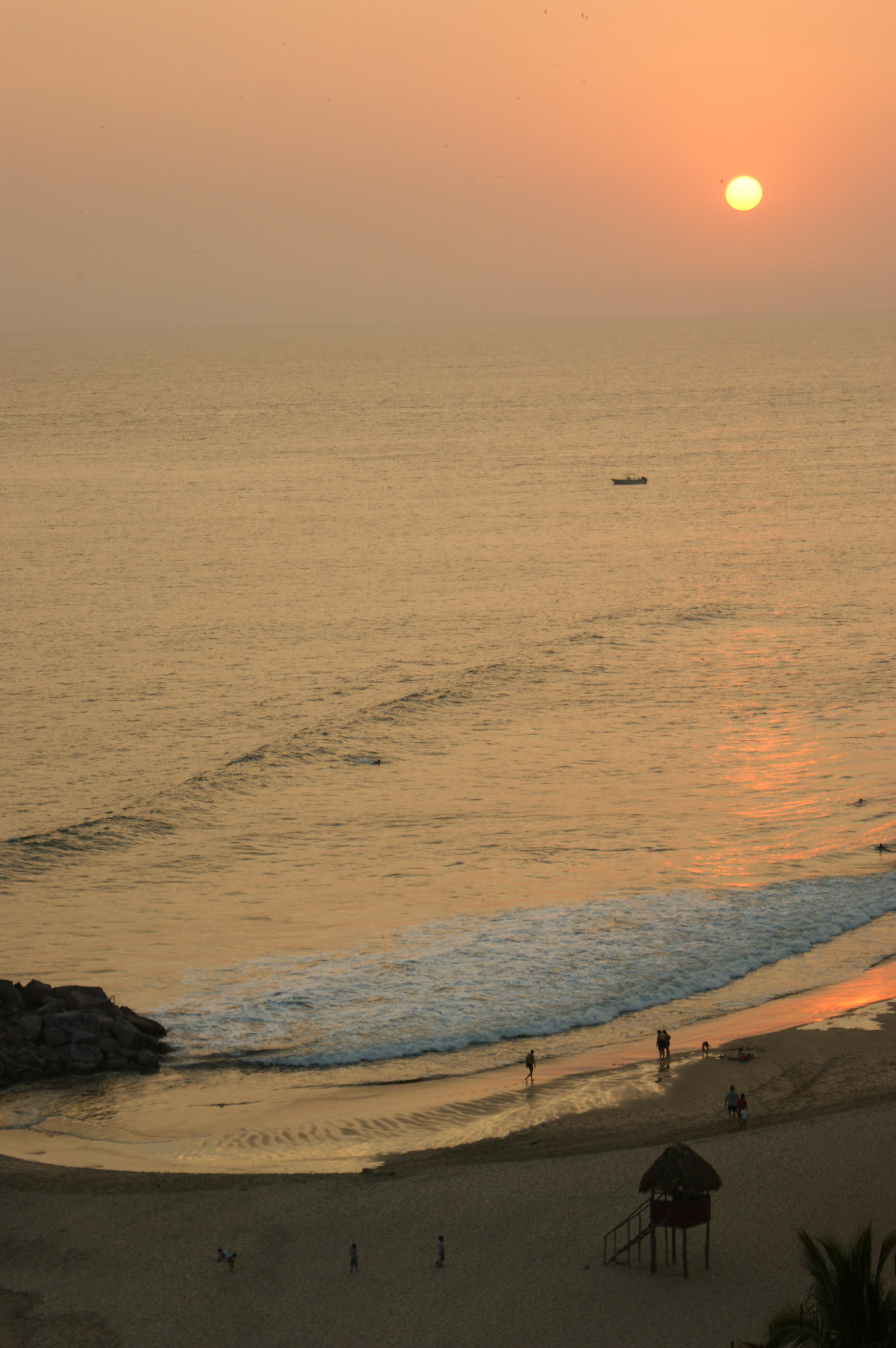SONY DSC