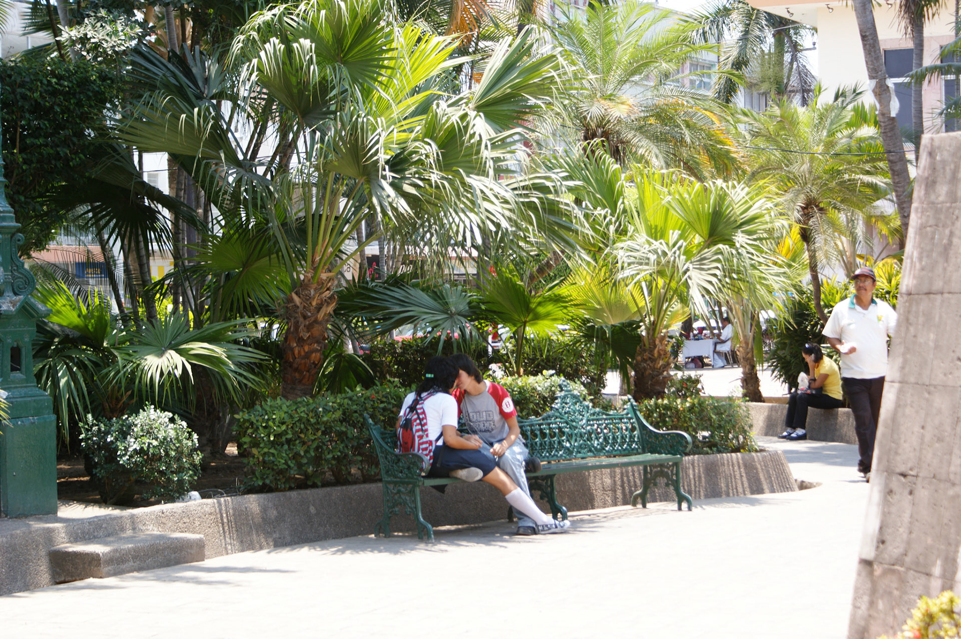 SONY DSC