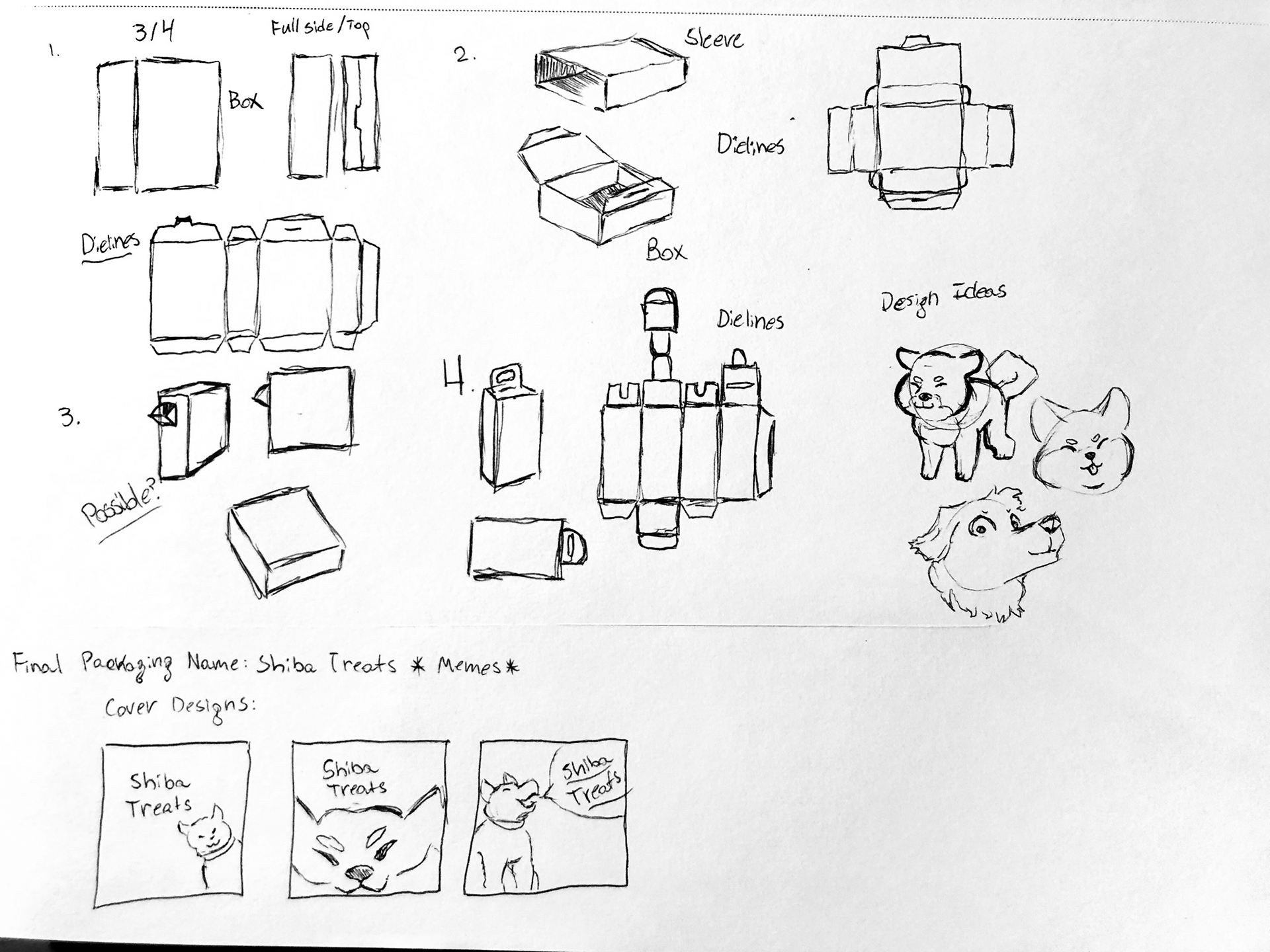 Sketch Process / Package Function & Style