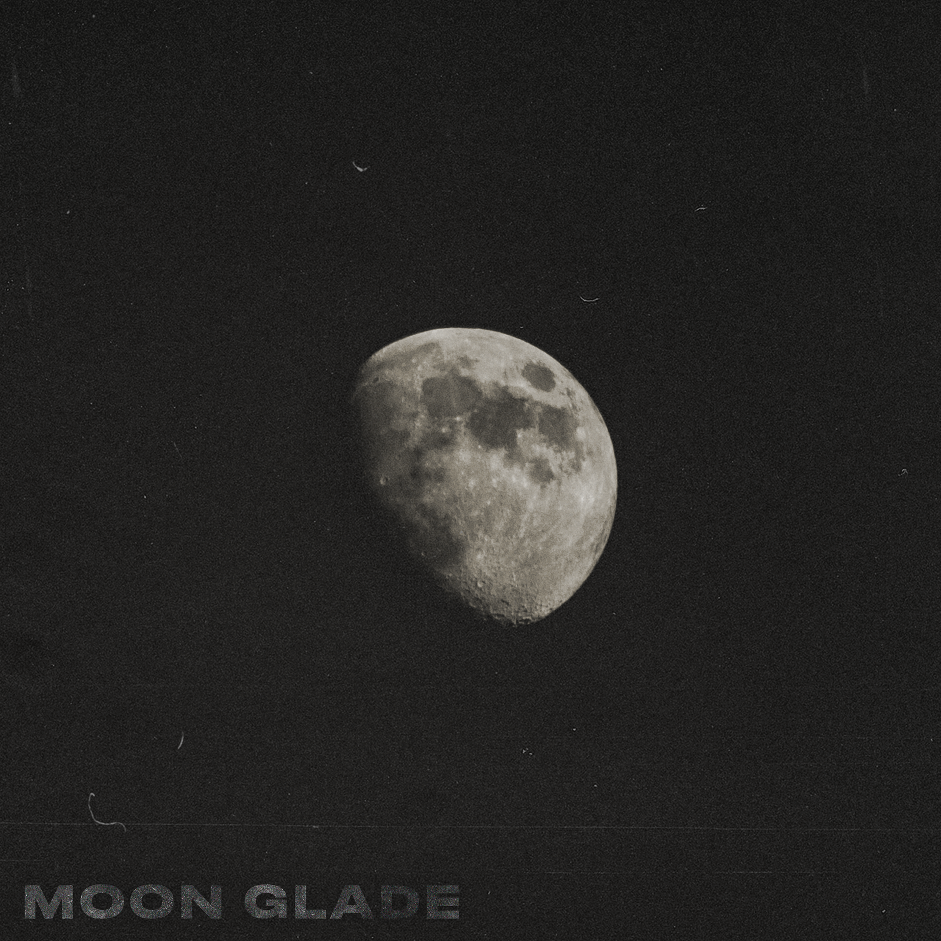 Coldtones - Moon Glade