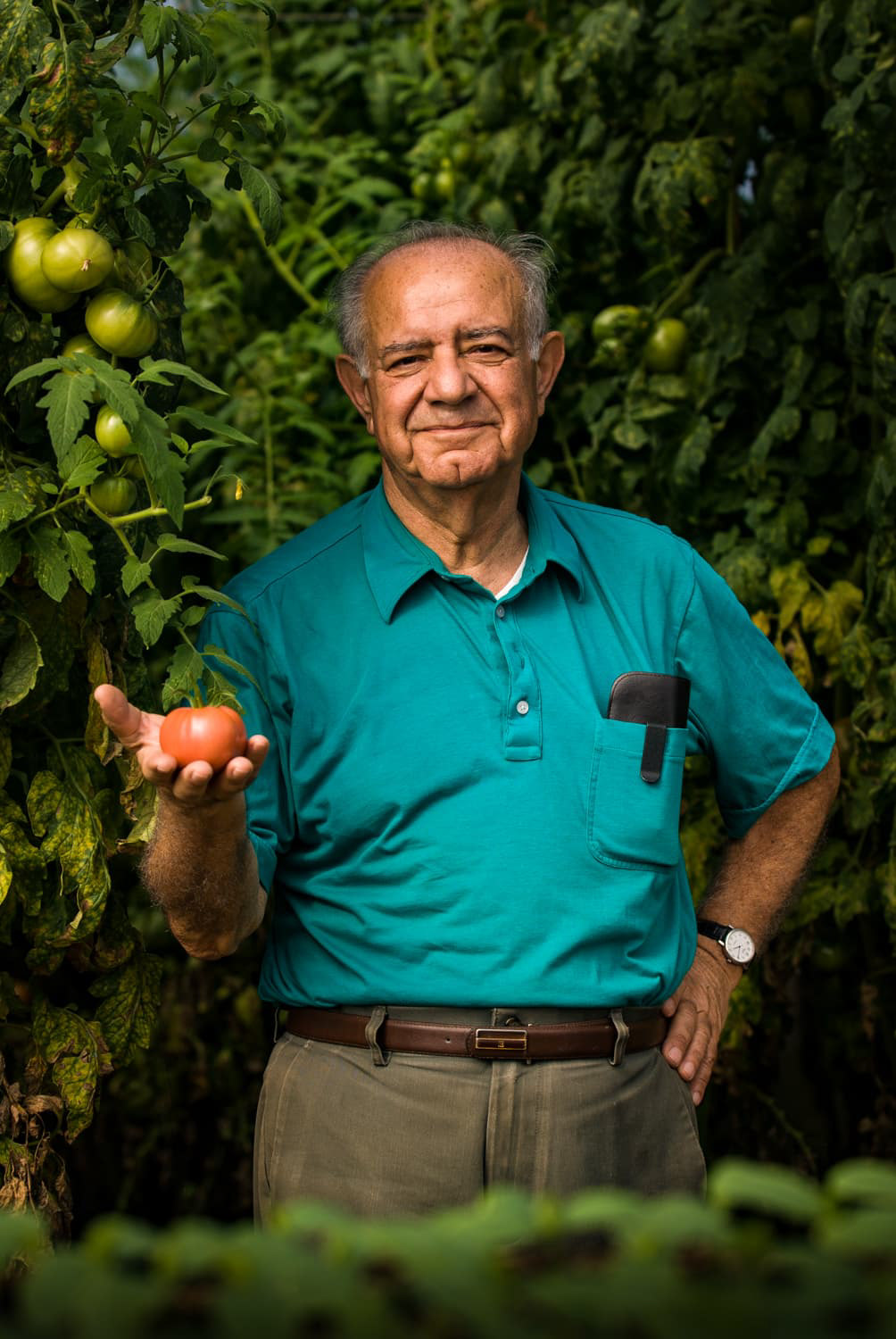 Nick Attalah Madison Growers retired water engineer with the U.S. Department of Agriculture Davis, California