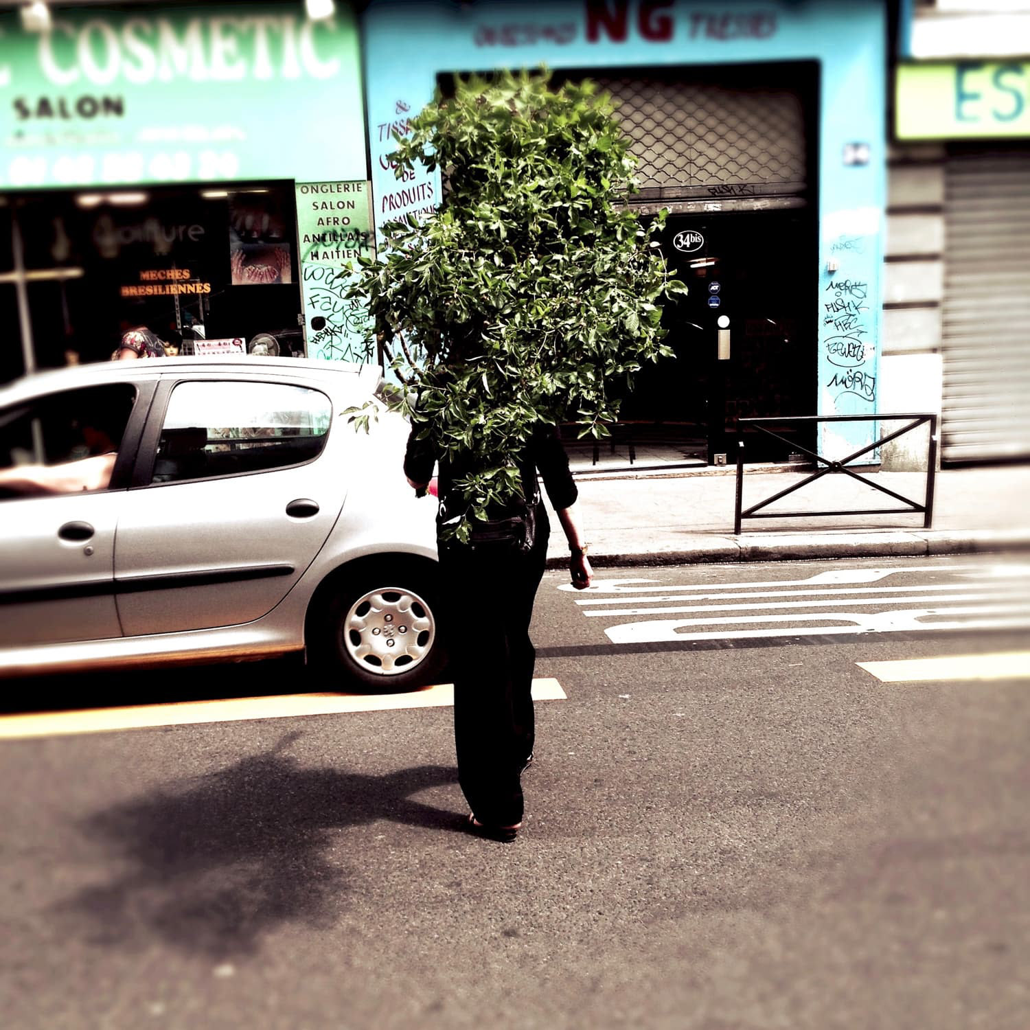 Tree Walking Paris, France